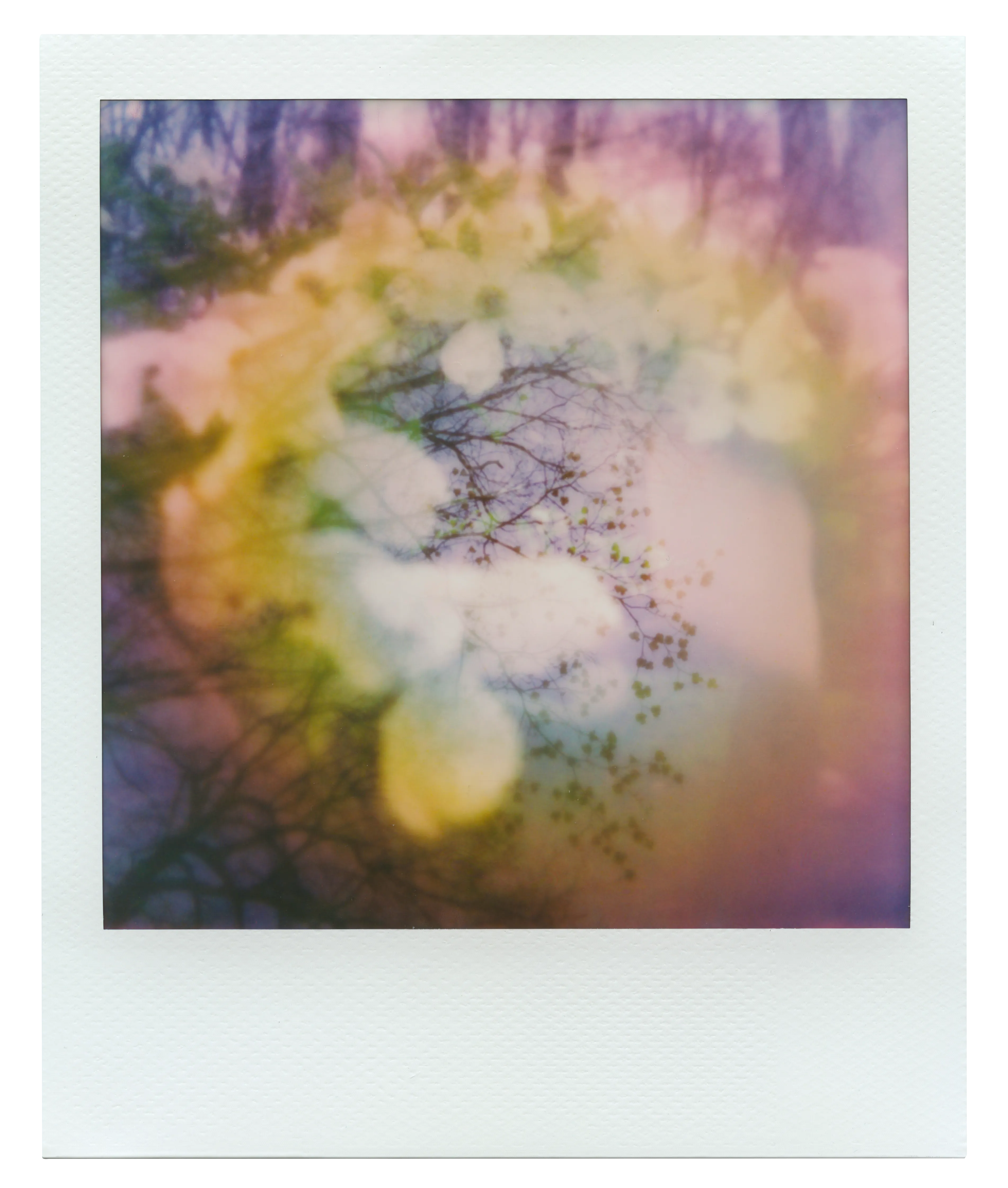 Instant film image | 3804 x 4482px PNG