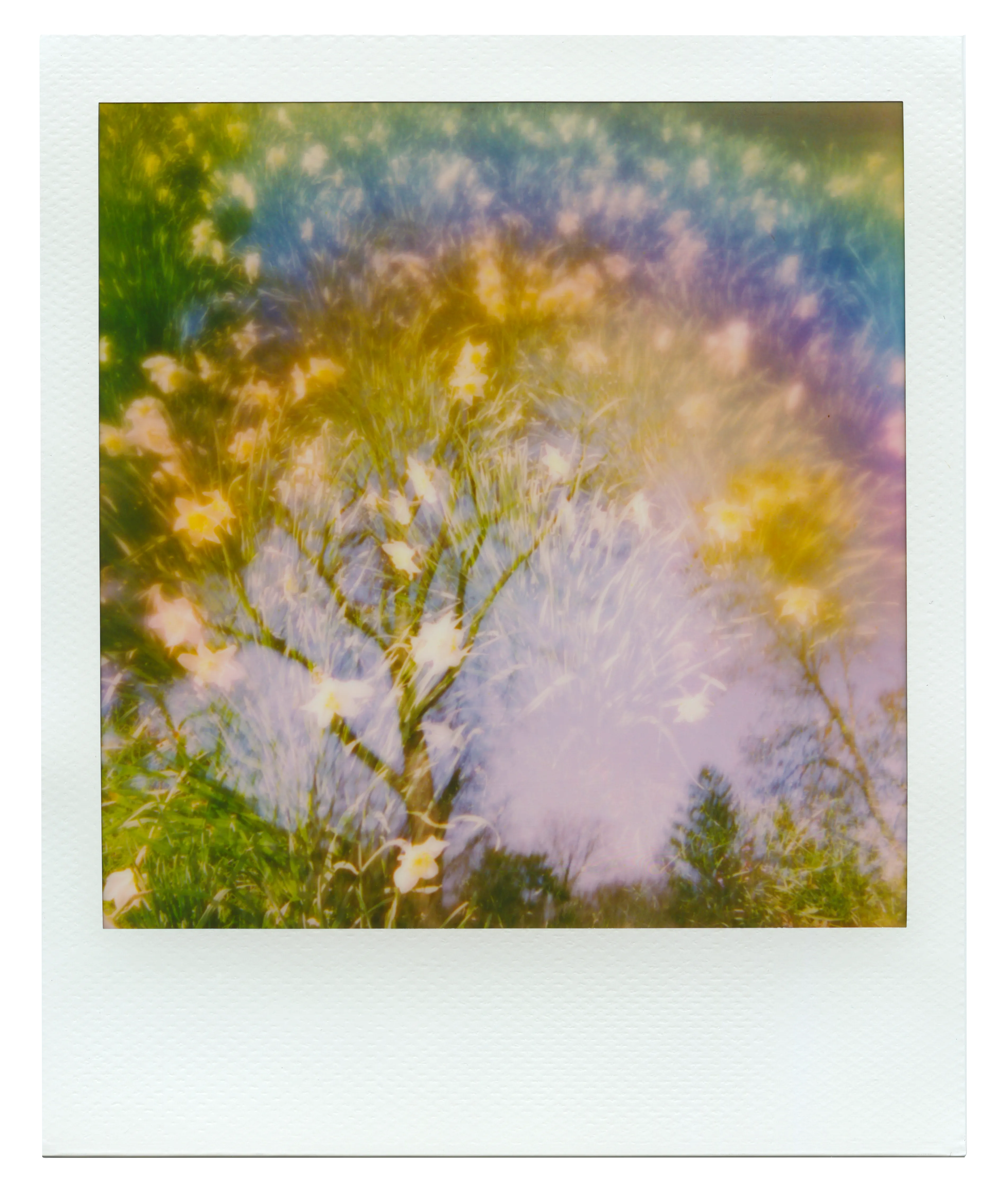 Instant film image | 3804 x 4482px PNG