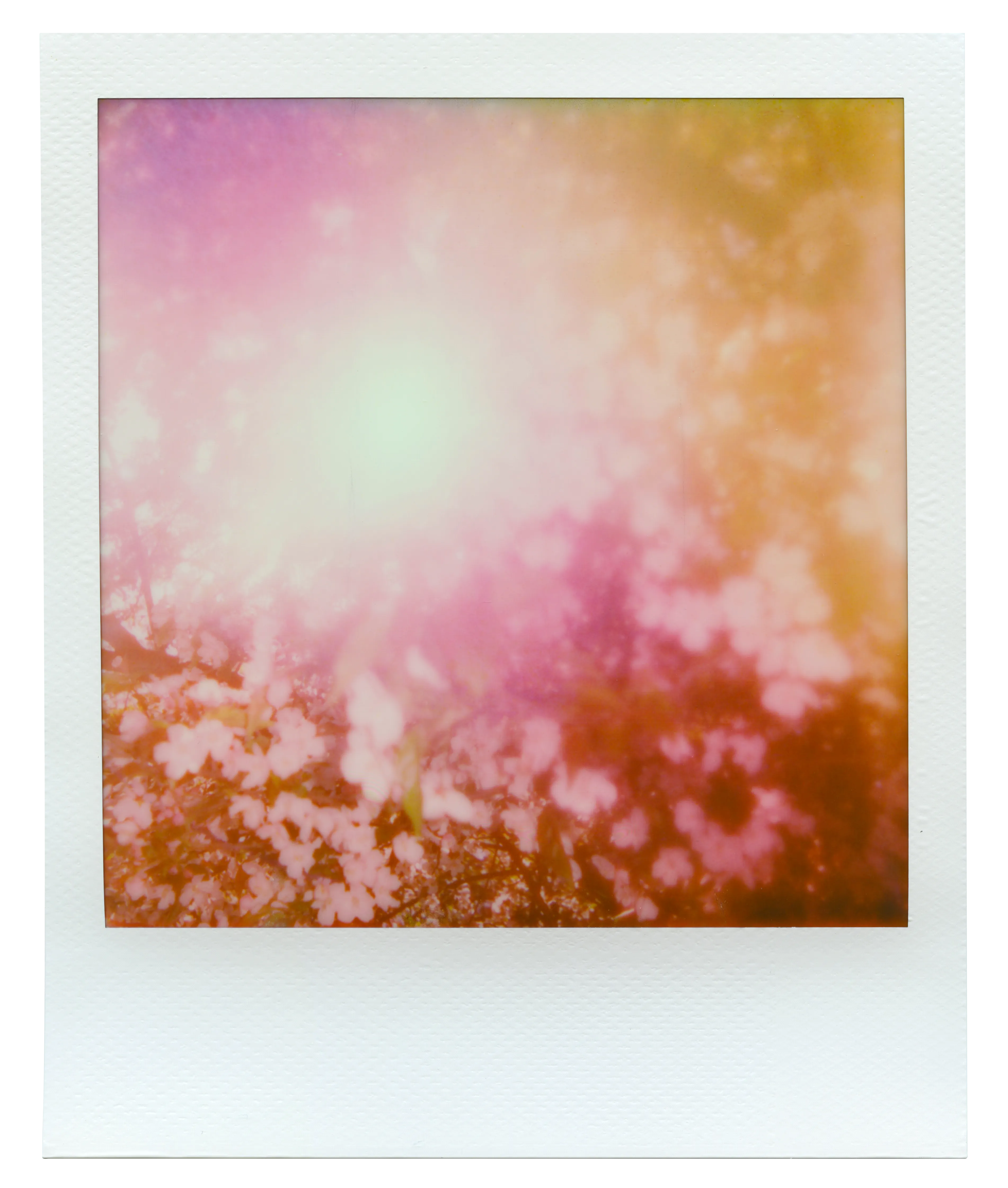 Instant film image | 3804 x 4482px PNG