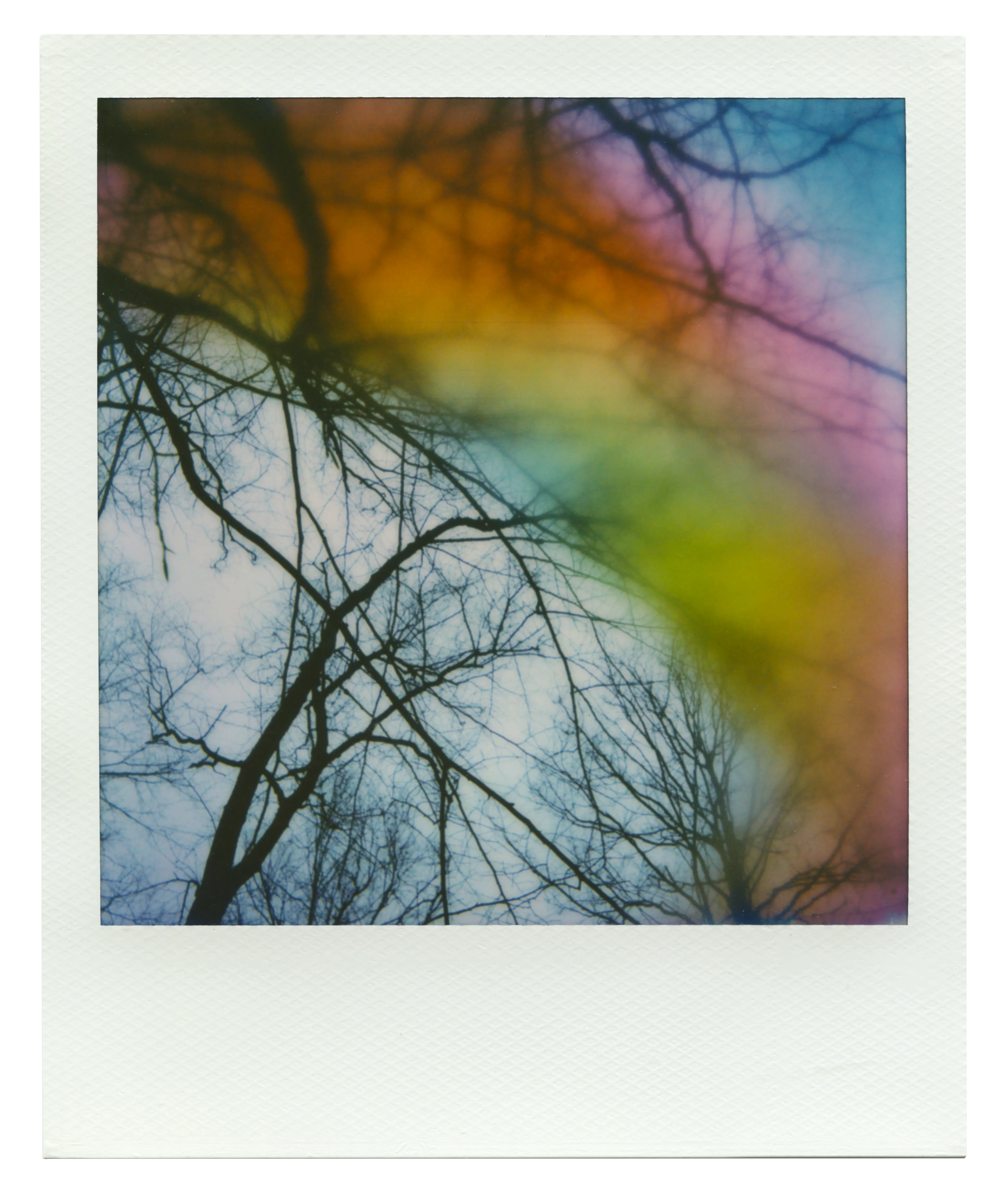 Instant film image | 3804 x 4482px PNG