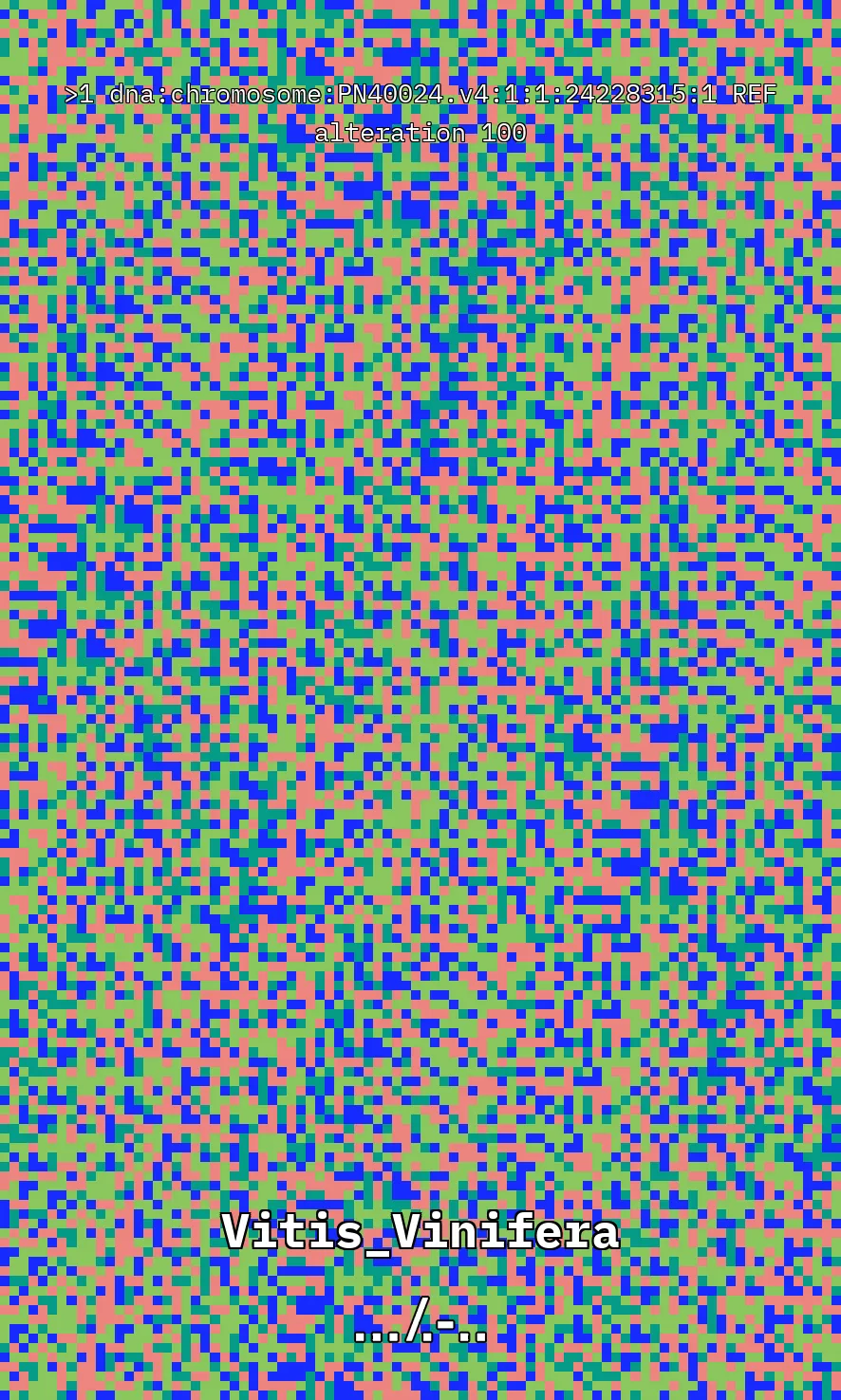 Vitis Vinifera is the scientific name given to what is commonly known as the vine, the most common and widely cultivated climbing plant in the world used to create wine. The artwork uses parts of the genetic sequence of this plant to generate a pixel pattern corresponding to the selected DNA sequence, in this case, from chromosome number 1 of the mentioned plant, through a Python code. The result is an abstract image that aims to simulate a pattern resembling a wine texture or what could be referred to as a digitized wine. The image has been created using 7,789 characters from the sequence (ACTG). The artwork, self-generated by a computer, offers nearly infinite possibilities by selecting different sections of the genetic code of Vitis Vinifera.