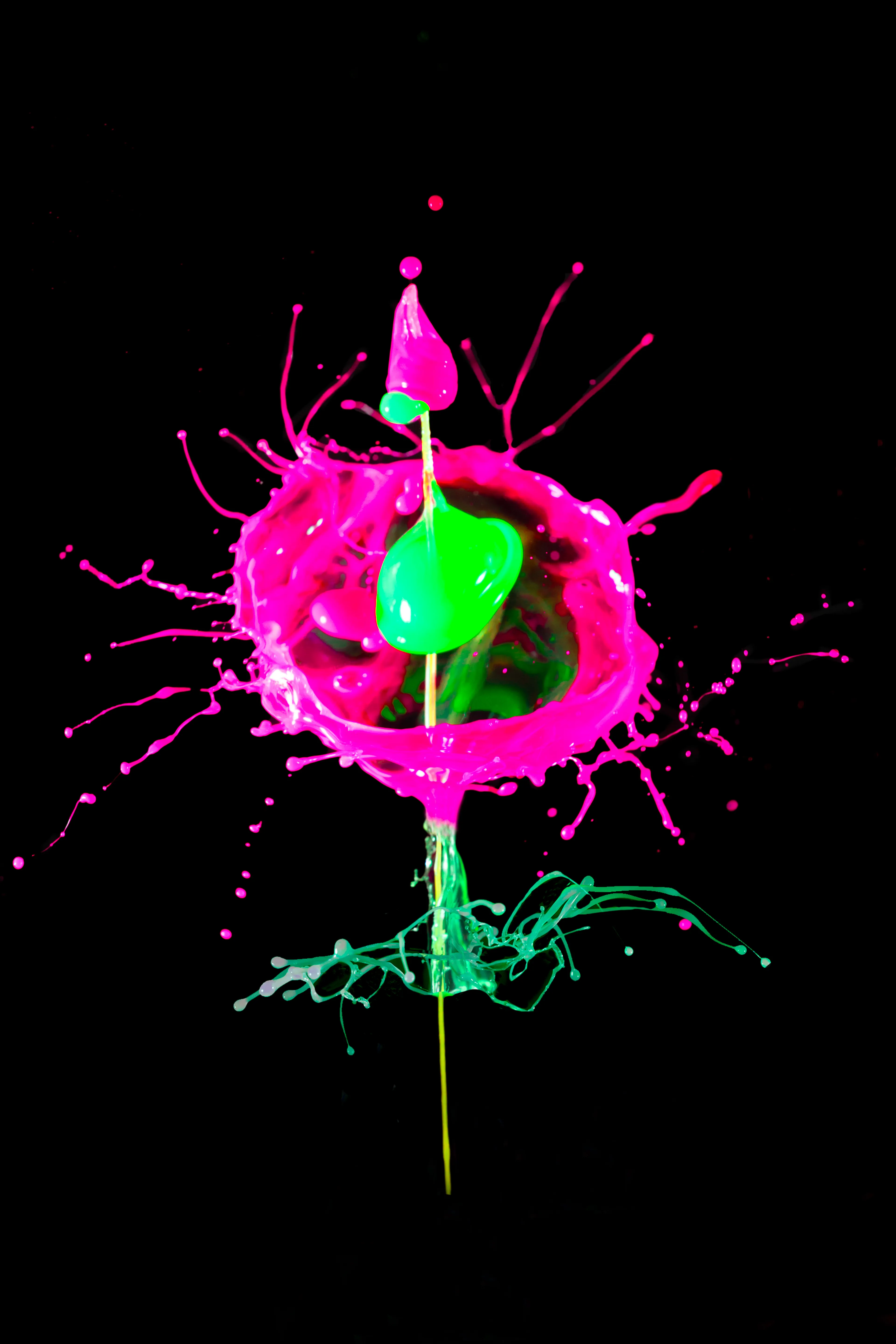 Liquid Art Sculptures lend themselves to all sorts of interpretation. I see a crazy alien-esque flower, what do you see? The very nature of this macro photography means that every image is unique. The yellow line you see through the middle of this is liquid being propelled from below to coincide with the pink and the green drops that have been dropped from cells above.