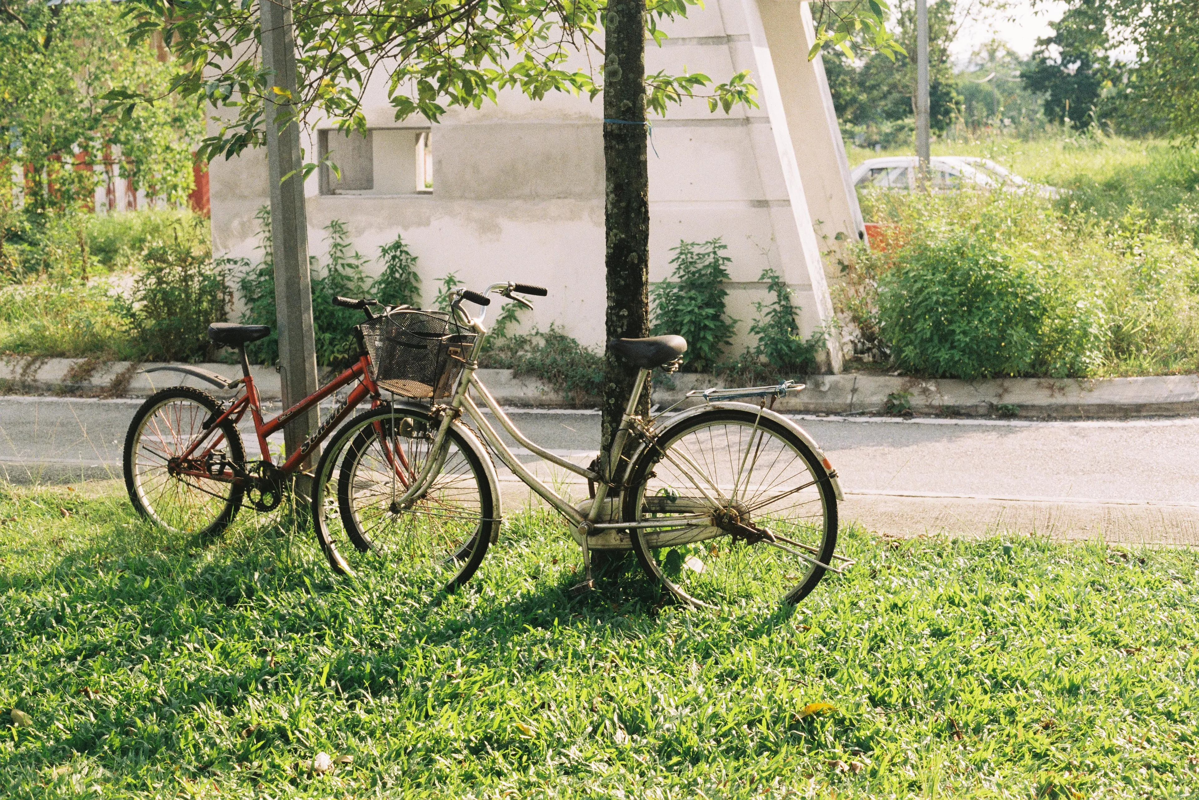 Batu Caves Kereta Api Tanah Melayu (KTM) train station janitors had their bicycles chained to the tree and light pole. 

Dimensions: 5397 x 3602