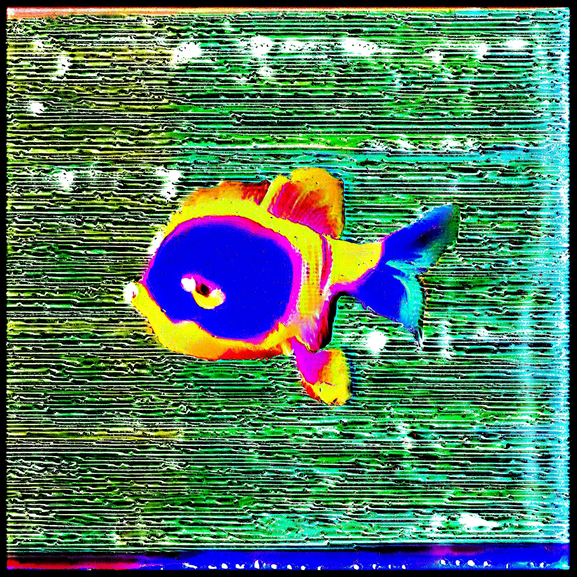 Build: Fusiform
Habitat: Lab Water
Country/Area: Unknown
Weight (lb): Unknown
Size (inch): Unknown
Ph level: Unknown
Diet: Unknown
Adaptation: Unknown