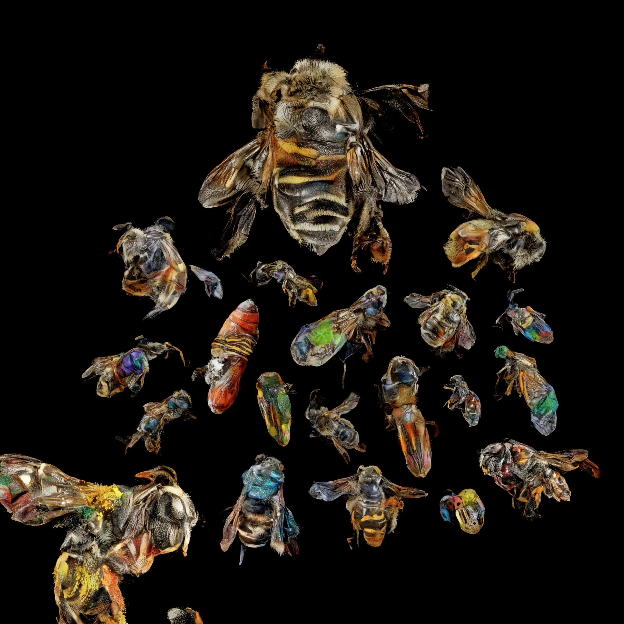 In contrast to the other works in the exhibition, “neural swarm” is arranged in less of a gridlike formation and more of a clustering that recalls the display of insects at a natural history museum. It’s only upon close examination and through additional context that we even realize these bee-like insects are of the artist’s own design, and that they don’t in fact exist in the natural world. As Crespo puts it, “These specimens are part of a collection from a particular neural expedition, a swarm of relatives in all their shapes and life-stages.” At first glance, her world appears to be our world. It pulls from colors, patterns, and shapes that are deeply familiar to our conscious and subconscious and plays them back to us in forms that seem fathomable yet fantastic. The end result is a surreal illustration of an imagined lifecycle for a exquisite species that never existed.