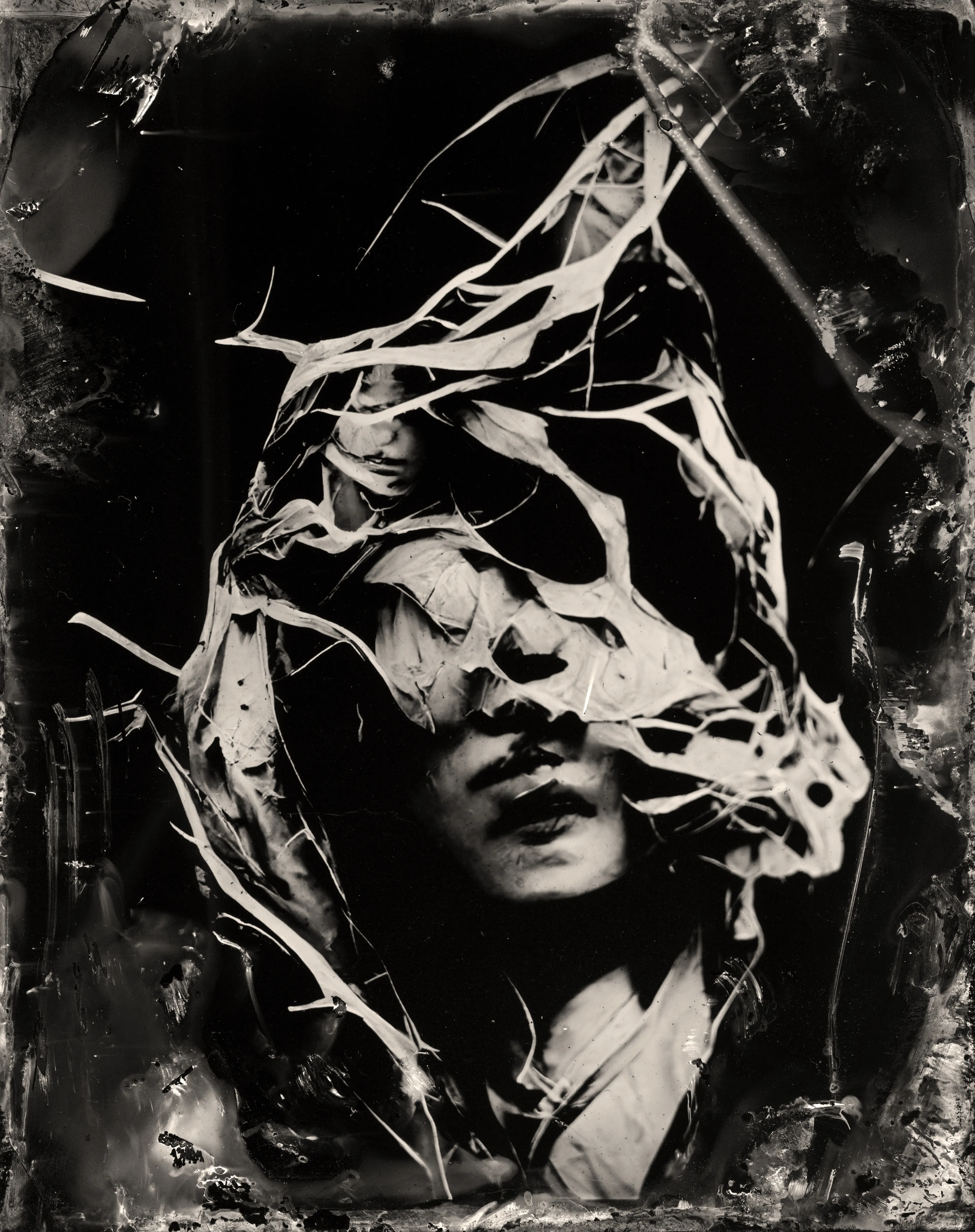 Using AI + Alchemy this work brings together the deep past and far future. AI is combined with the darkroom photography technique of Wet Plate Collodion, one of the earliest forms of chemical photography ever discovered in the 1850’s and the premier image generation technology of its time.  
----  
Wet Plate Collodion, traditionally used in antique portraiture, is now able to capture the descendants of data. With the emergence of AI, we can look at our future through this historic process blurring the borders of time and space. 
----  
Pierced Cocoon  
Erika Weitz  
2022  
1/1
