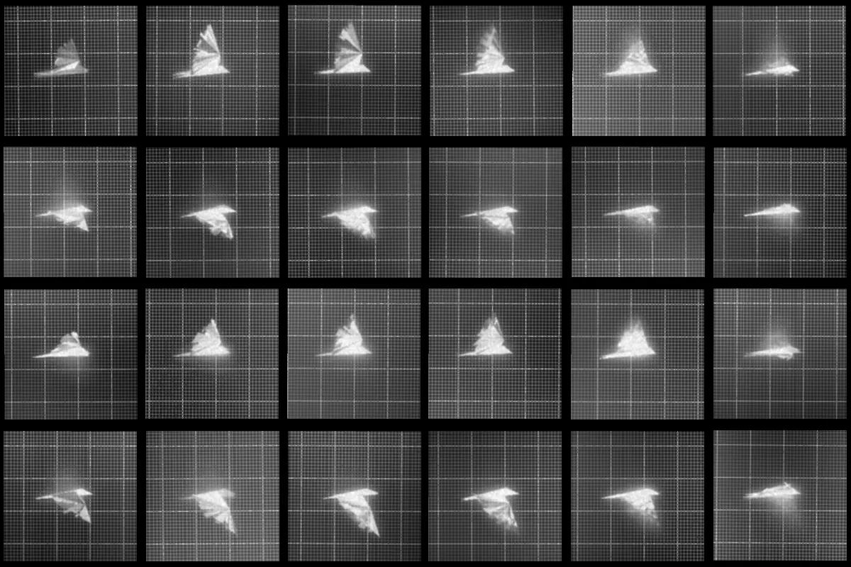 DEAFBEEF: Chronophotograph - Token 131

Chronophotograph is the companion collection to Vol. 2, Series 1 - Noumenon. This work is made in support of The Los Angeles County Museum of Art's Art and Technology Lab, in collaboration with Cactoid Labs, presented in dialogue with the chronophotopgraphic work of Eadweard Muybridge in the LACMA archives.

On a time locked schedule, a blockchain transaction can be triggered to metaphorically "capture" an observation of a Noumenon, minting a new ERC721 token in this companion series. The blocknumber serves as the seed for a deterministic program to generate an image in the style of Muybridge's chronophotographs, representing the attempt to transcend sensory limitations through the use of technology.

Viewers are encouraged to reflect on the perception of time, consensus reality, photography and blockchain as sources of objective truth, limitations thereof.
