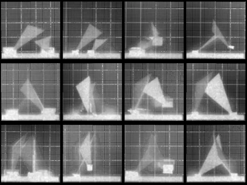 DEAFBEEF: Chronophotograph - Token 88

Chronophotograph is the companion collection to Vol. 2, Series 1 - Noumenon. This work is made in support of The Los Angeles County Museum of Art's Art and Technology Lab, in collaboration with Cactoid Labs, presented in dialogue with the chronophotopgraphic work of Eadweard Muybridge in the LACMA archives.

On a time locked schedule, a blockchain transaction can be triggered to metaphorically "capture" an observation of a Noumenon, minting a new ERC721 token in this companion series. The blocknumber serves as the seed for a deterministic program to generate an image in the style of Muybridge's chronophotographs, representing the attempt to transcend sensory limitations through the use of technology.

Viewers are encouraged to reflect on the perception of time, consensus reality, photography and blockchain as sources of objective truth, limitations thereof.

