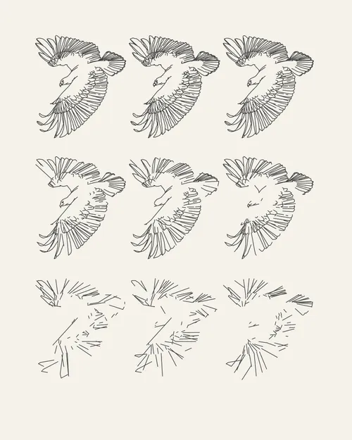 Starting with traditional art materials when he was young, Tyler Hobbs later found his way into creating images with code. Eventually, he stopped creating landscapes and portraits by hand and his work with code took center stage, but he never stopped working with traditional art materials. His graphite plotter drawings and hand-painted murals created from his code are essential elements of his work. For –GRAPH, Tyler has created “F(l)ight,” a study of the aesthetic overlap and differences between the natural world, hand-made artwork, and algorithmic tendencies. It’s a return to his long-standing interests in the continuum of representational images to total abstraction. In relation to his idea that code and algorithms become increasingly important within culture and art, Tyler says, “I am interested in what parts of the analog world we can capture, what we can improve, and what is lost.” 

“F(l)ight” is a software NFT, but the first collector of each edition will receive the corresponding plotter drawing shipped directly from the artist’s studio. Each software NFT includes millions of other images beyond the primary image for each edition. The software NFT and the plotter drawing aren’t linked together; the NFT can continue to be collected on a secondary market without the drawing. Click on the artwork or press the enter/return key to generate a new image with a different random seed value.

The image you see on the main artwork page on Feral File is the plotter drawing for the artist-proof (AP). Compare this image of the drawing to the corresponding software version of the AP to see how the software image and the plotted drawing are related. Because the artists are using a range of papers and inks, the software and physical drawings are delightfully different.  

The “F(l)ight” drawings are 40.6 × 50.8 cm (16 × 20 inches) on cream Stonehenge paper. They are drawn with a black archival ink pen.