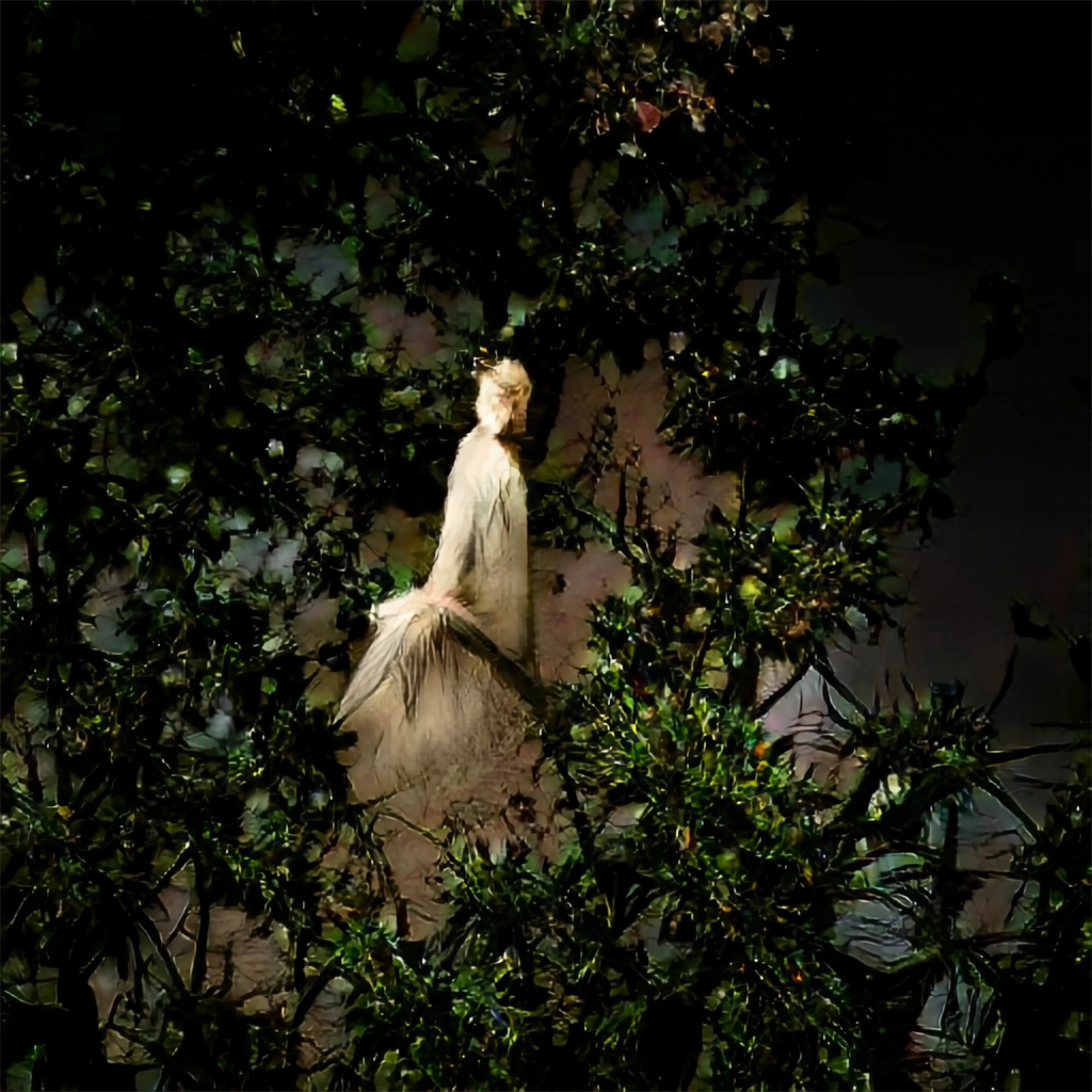 'Genesis' is a collection of raw AI images, created and arranged to tell a story. The project is a visual narrative of what is and what's yet to come.