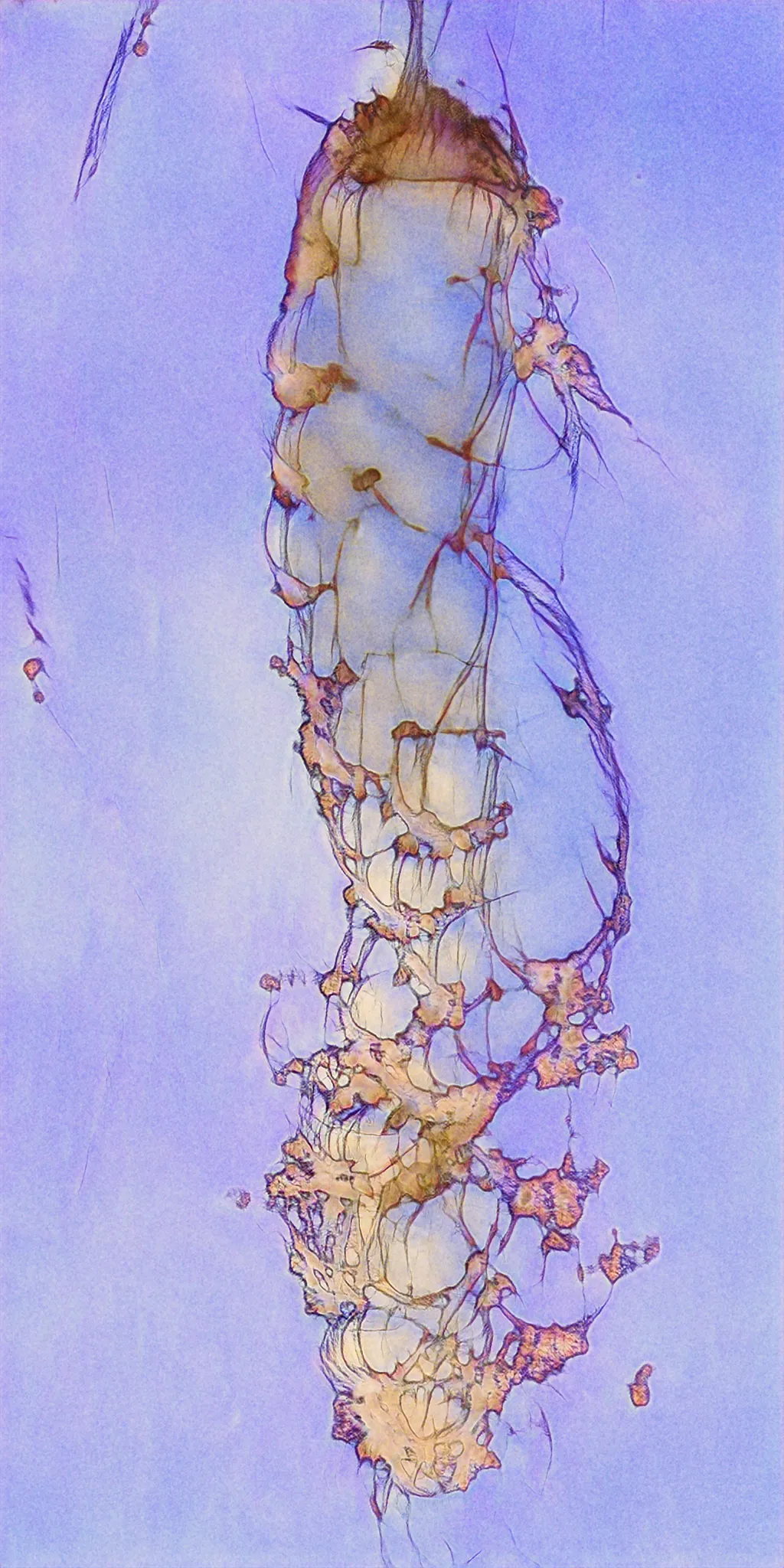 One collection created by 14 distinctive artists to highlight the current diversity of artistic outputs within the AI Collaborative Art movement. Featuring: Claire Silver, Pindar Van Arman, Roope Rainisto, All Technique No Passion, Sofia Crespo and Feileacan McCormick (Entangled Others), Gene Kogan, Nikolay Jetchev, Vadim Epstein, Obvious, HeavensLastAngel, Xander Steenbrugge, Dadabots, Devi Parikh, and Artemis.