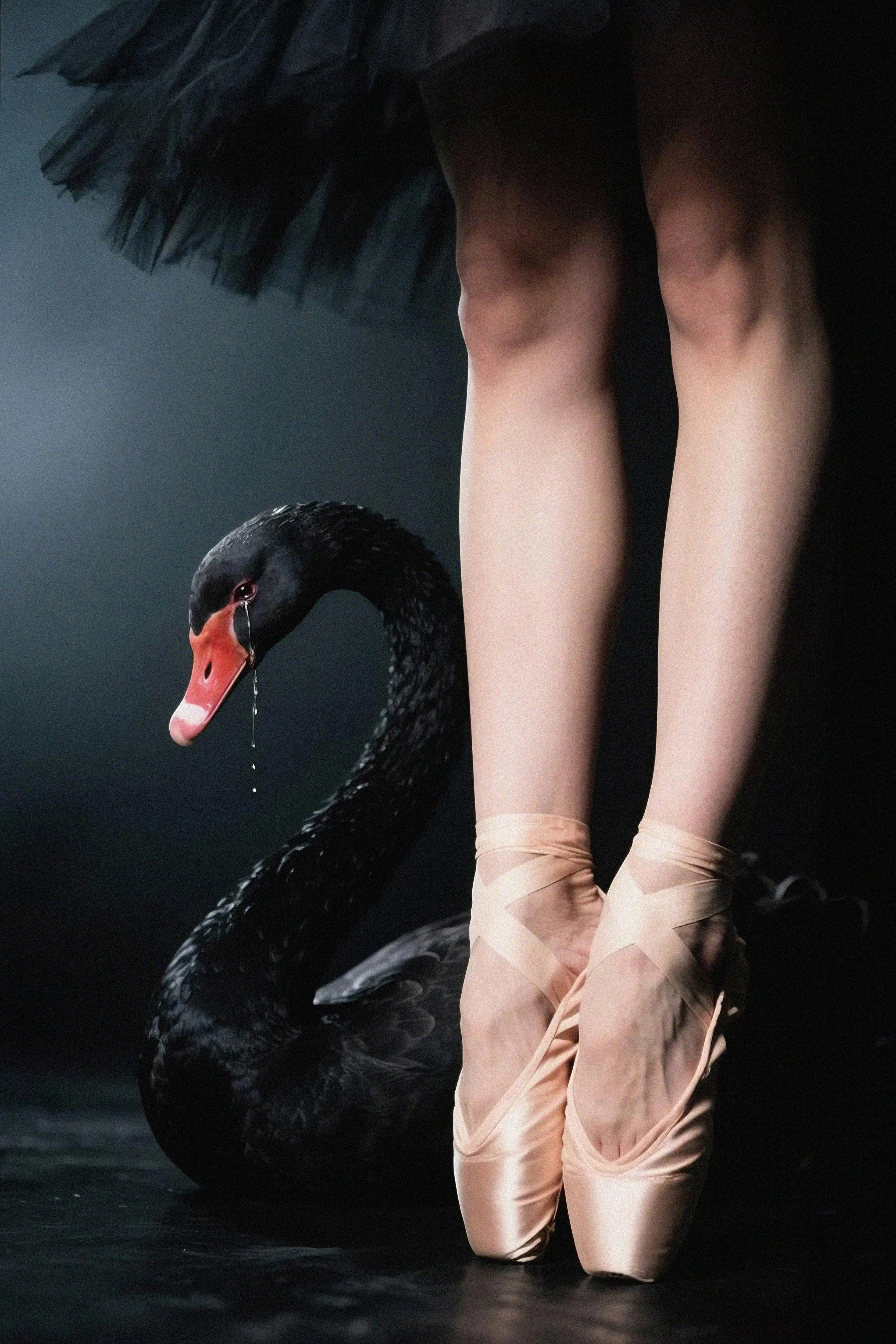 “We all have to suffer one of two things: discipline or regret.” Jim Rohn.

Ballet is a captivating art form that combines grace, discipline, and artistic expression. But it offers more than just an aesthetic experience.

This collection focuses on the details. It will be a collection filled with ironies that demonstrate the discipline and physical pain required to achieve ballet's aesthetic, but it's not too harsh; it's simply a glimpse, an awakening.