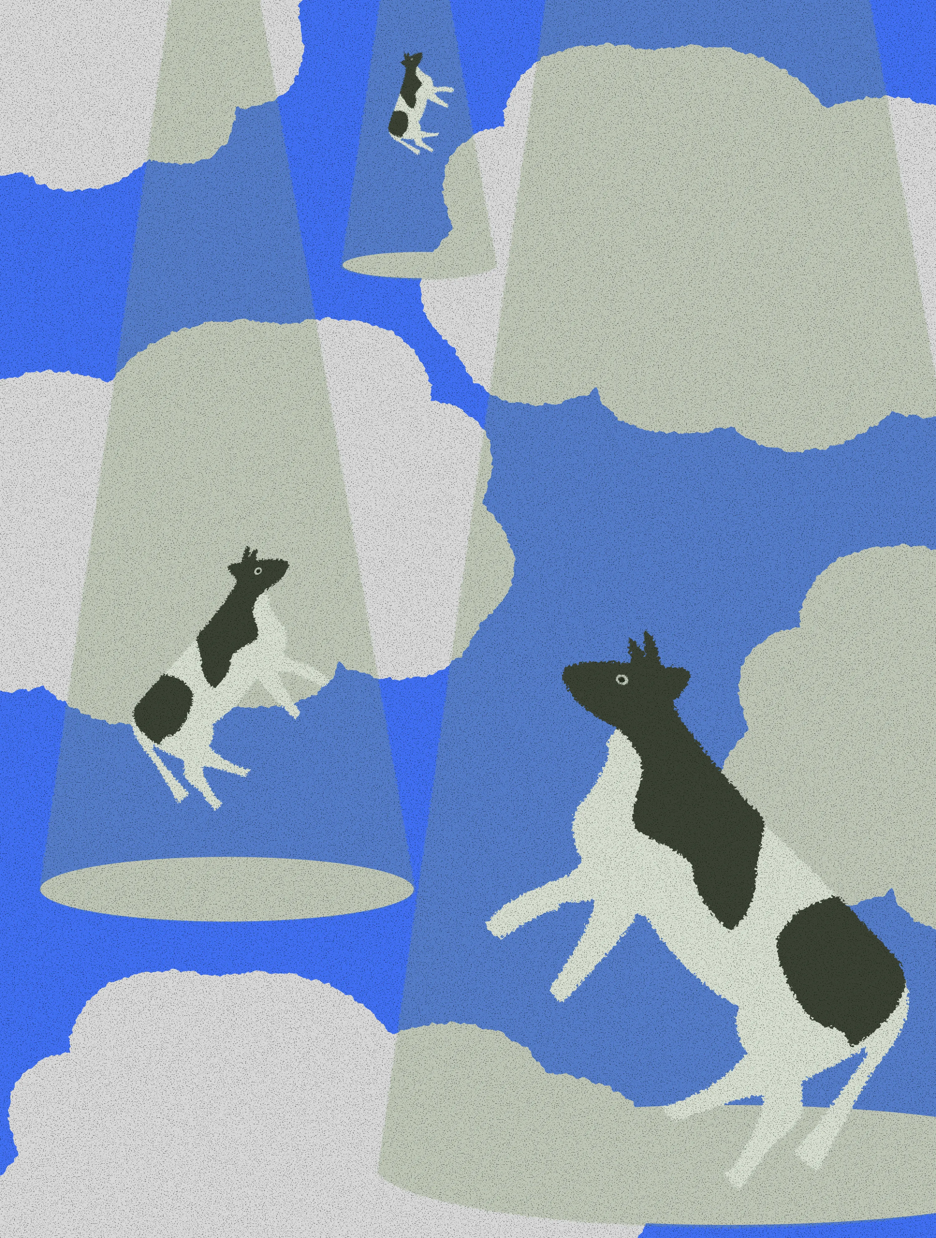 “ where are they going? ”

“ absolutely, home. ”