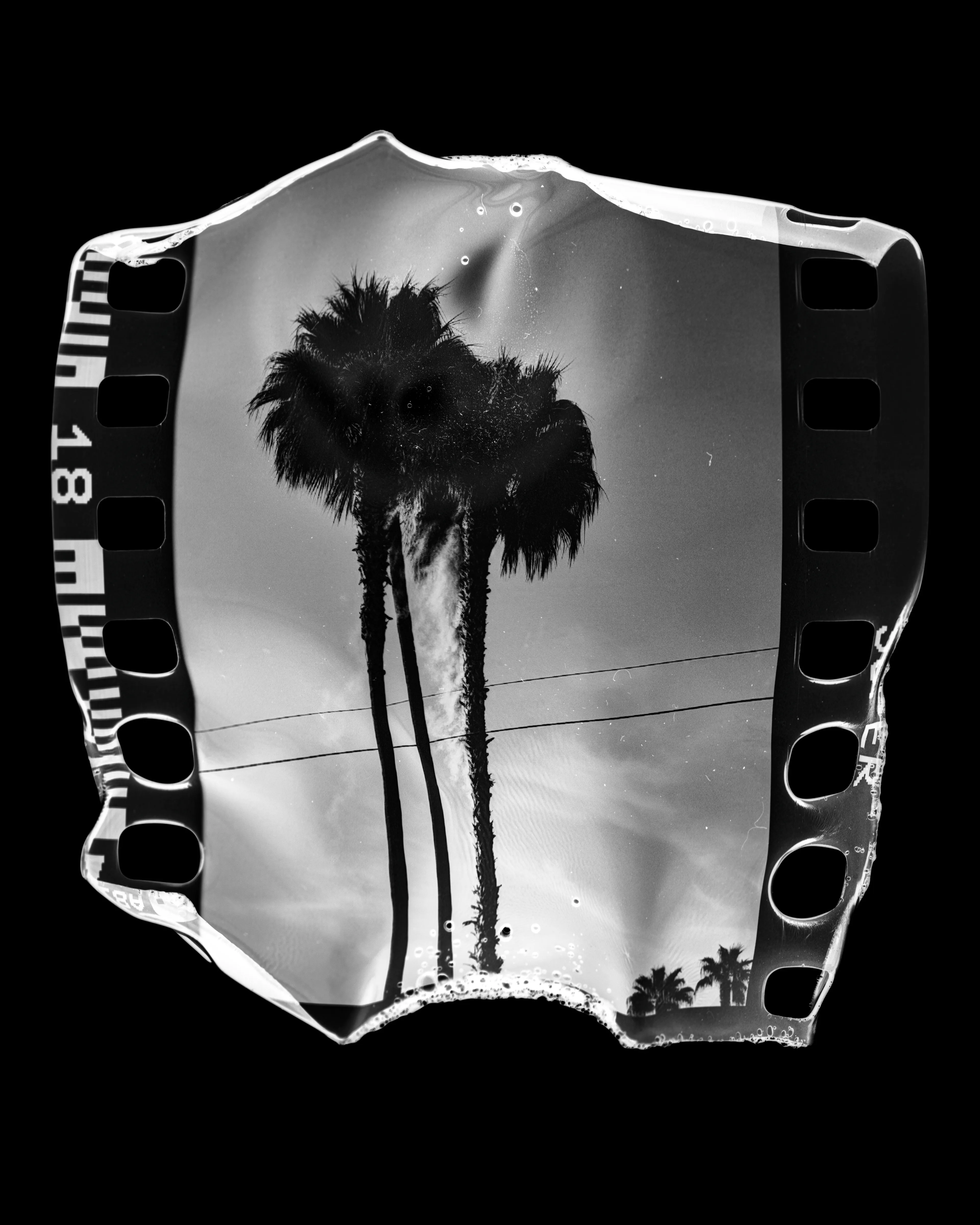 I SHOT MY DEMONS IN THE CITY OF ANGELS

—
KILL CITY is a love letter to life and death in Los Angeles. Street level photographs of mixed methods on 35mm analog film are burned in flames. Reality is centered, with unexpected beauty found in the damaged capture. 

Shot in the trenches, this collection is direct exposure of over a decade in the 2010s and early 2020s in Los Angeles. It spans uprisings, subcultures, injustice, kink, and spirituality while remaining a celebration of the will to overcome physical and psychological vulnerability. KILL CITY’s hard edge melts perception and technique to offer a unique embodiment of life in LA.
—

Erika Weitz
KILL CITY
150 Piece Collection
4000 x 5000 jpg


© Erika Weitz 2023
No License / All Rights Reserved
