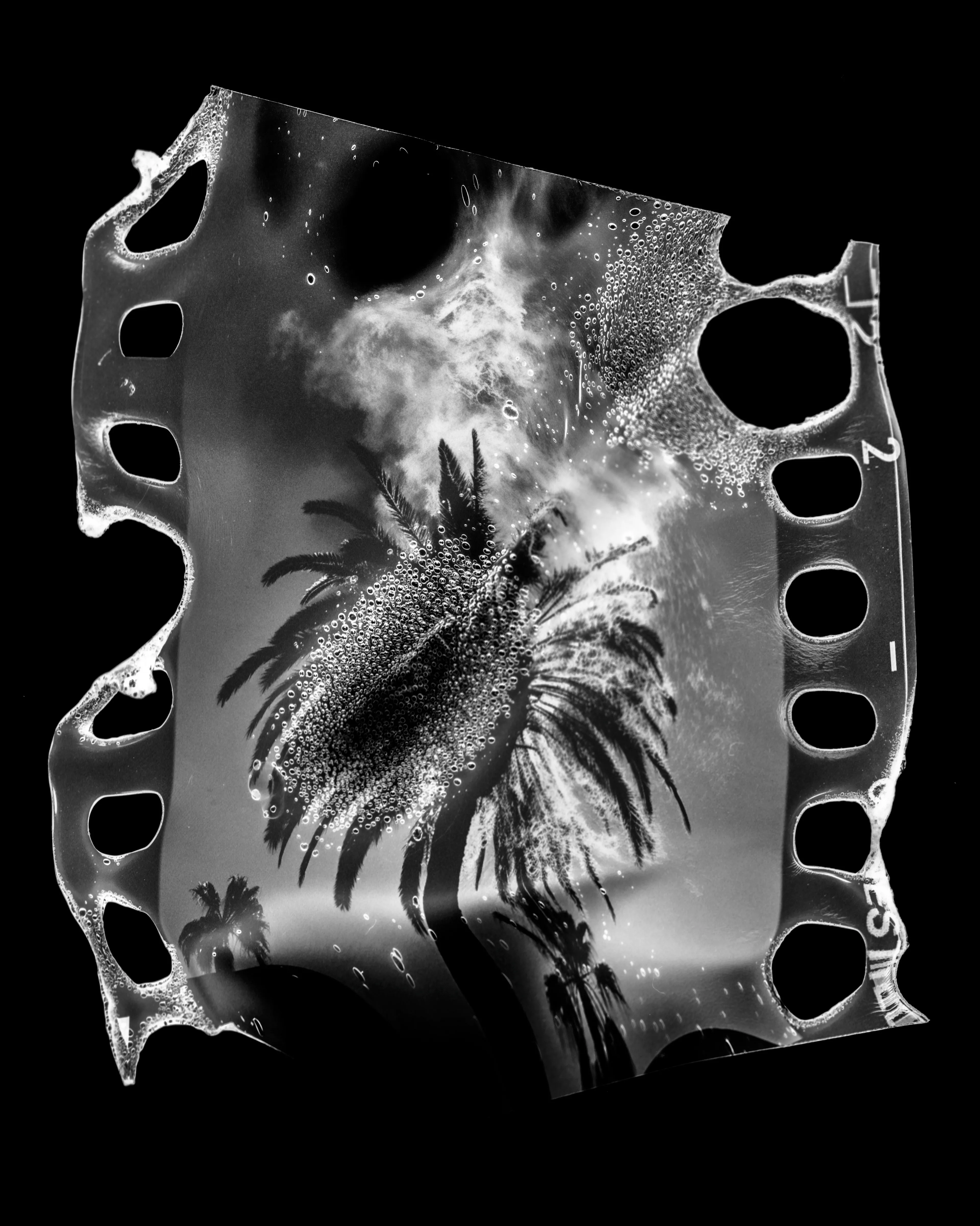 I SHOT MY DEMONS IN THE CITY OF ANGELS

—
KILL CITY is a love letter to life and death in Los Angeles. Street level photographs of mixed methods on 35mm analog film are burned in flames. Reality is centered, with unexpected beauty found in the damaged capture. 

Shot in the trenches, this collection is direct exposure of over a decade in the 2010s and early 2020s in Los Angeles. It spans uprisings, subcultures, injustice, kink, and spirituality while remaining a celebration of the will to overcome physical and psychological vulnerability. KILL CITY’s hard edge melts perception and technique to offer a unique embodiment of life in LA.
—

Erika Weitz
KILL CITY
150 Piece Collection
4000 x 5000 jpg


© Erika Weitz 2023
No License / All Rights Reserved
