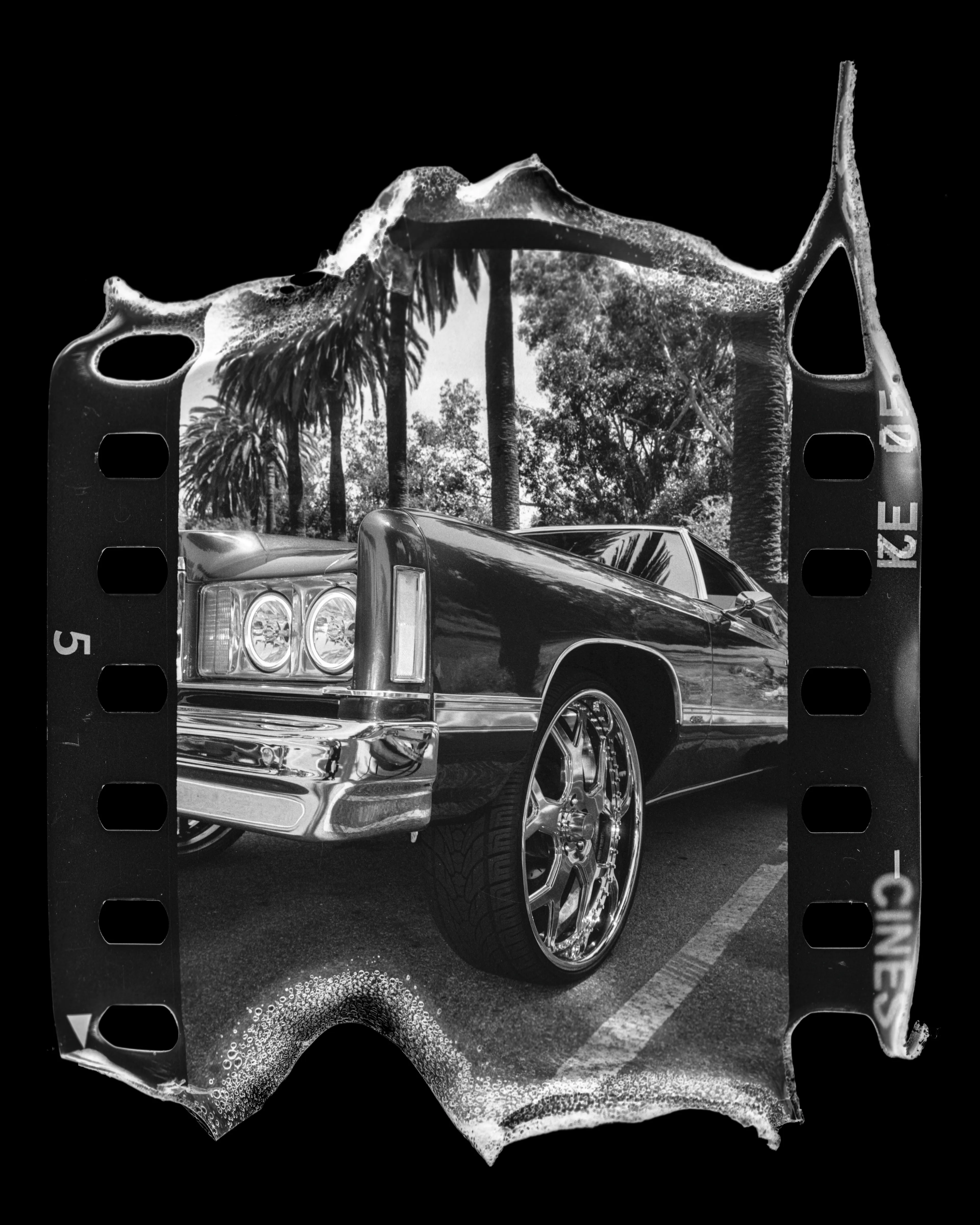 I SHOT MY DEMONS IN THE CITY OF ANGELS

—
KILL CITY is a love letter to life and death in Los Angeles. Street level photographs of mixed methods on 35mm analog film are burned in flames. Reality is centered, with unexpected beauty found in the damaged capture. 

Shot in the trenches, this collection is direct exposure of over a decade in the 2010s and early 2020s in Los Angeles. It spans uprisings, subcultures, injustice, kink, and spirituality while remaining a celebration of the will to overcome physical and psychological vulnerability. KILL CITY’s hard edge melts perception and technique to offer a unique embodiment of life in LA.
—

Erika Weitz
KILL CITY
150 Piece Collection
4000 x 5000 jpg


© Erika Weitz 2023
No License / All Rights Reserved
