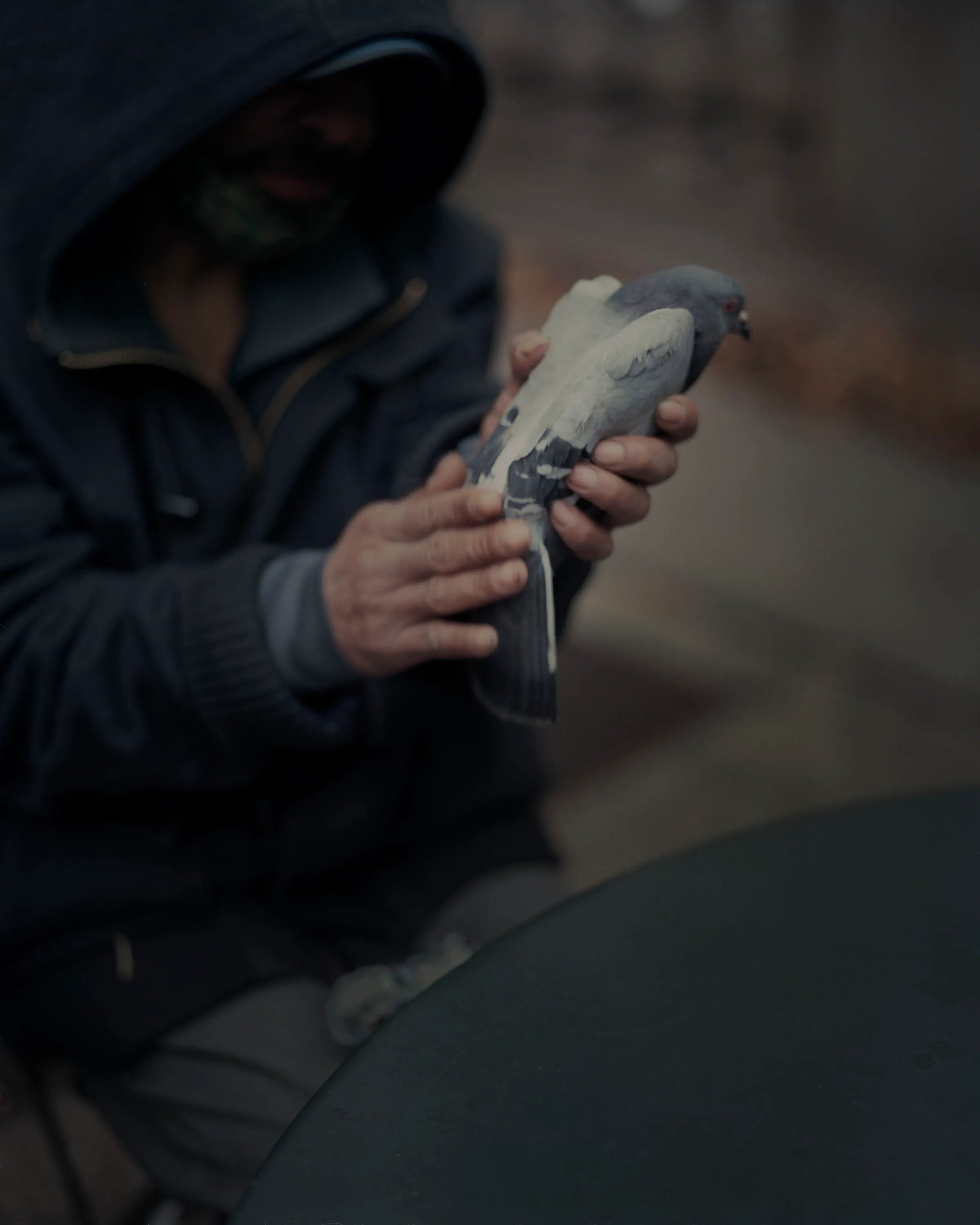 Magnum 75 #17 by Gregory Halpern. New York, USA. 2020  
Men outside the New York Public Library. 

The Magnum 75 collection is the inaugural NFT collection by Magnum Photos. Created in 2022, the collection brings together works by 76 photographers taken across seven decades. 

Each drop will be curated in dialogue with three leading picture editors from across the globe and selected to embody the agency’s past, present, and future. This collection release coincides with the agency’s 75th celebrations and its Annual General Meeting in New York. 

The first collection has been curated by Alejandro Cartagena, co-founder of Obscura.

Alejandro Cartagena said: "To look into Magnum’s vast archive is to look into the evolving history of photography as a language. For this selection, which marks the first steps of the agency into yet another horizon for photography with the emergence of blockchain technology, I decided to focus on the ingredients that make certain images stand out from the rest – the elements that all photographers should be aiming for. These 76 images celebrate not only the endurance of Magnum Photos but the quality that has made this longevity possible."

Edition: 1 of 1

© Gregory Halpern/Magnum Photos 2022 All Rights Reserved  
www.magnumphotos.com/terms-conditions/