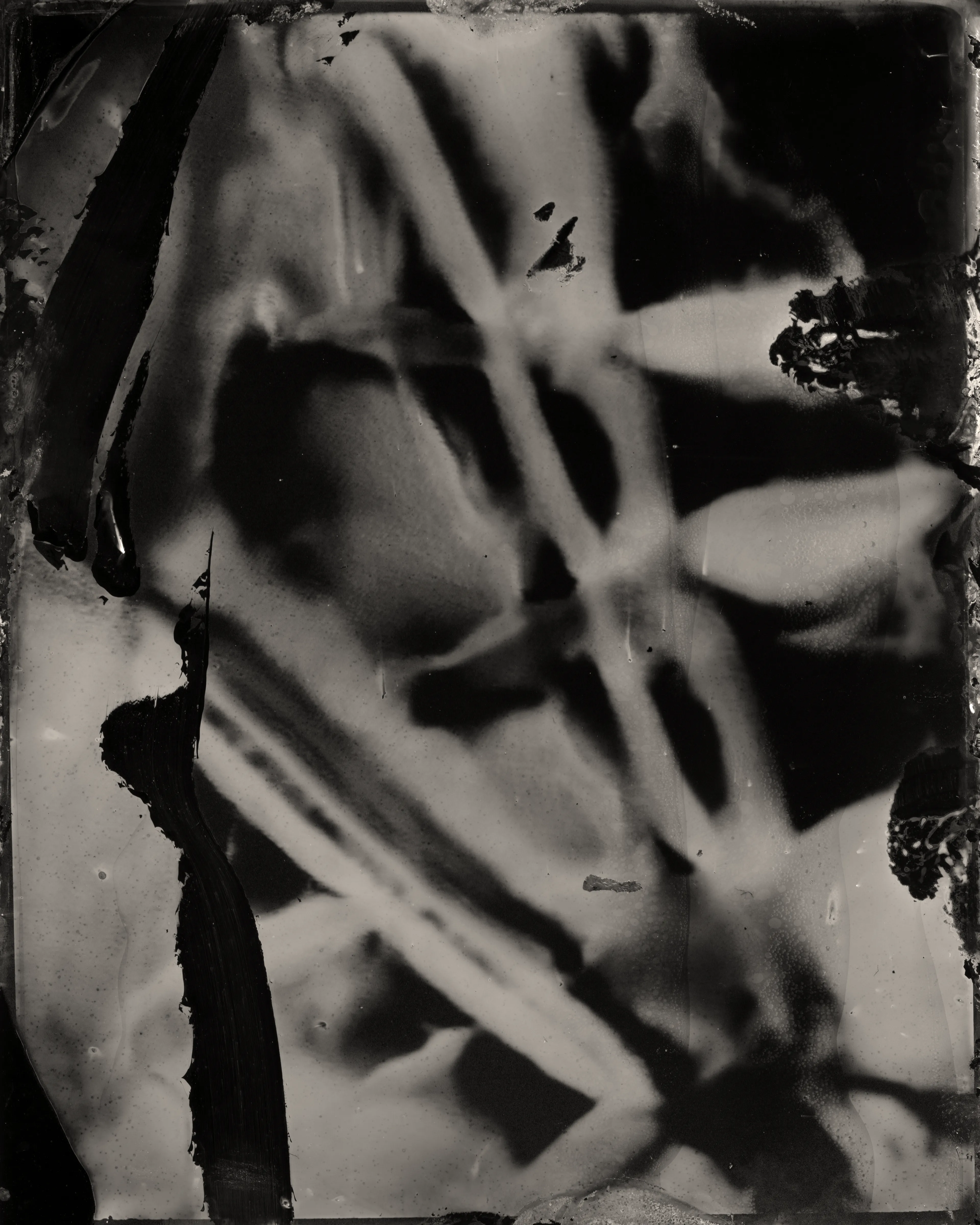 Technical Image #5  
2024  
Image (black and white)  
1/1

Casey REAS and Erika Weitz

Digital: 
9600 × 12000 pixels

Physical: 
Wet plate collodion on aluminum  
4 × 5 inches

Exhibited in Wet and Saturated Process, 24 April – 25 May 2024 at Unit in Mayfair, London

Technical Images is a collection of digital and physical images. Each is a digital file and physical artwork. The collector can receive both, or one can be archived by the artist. If a work is resold, the new collector is entitled to both the digital file and physical artwork.