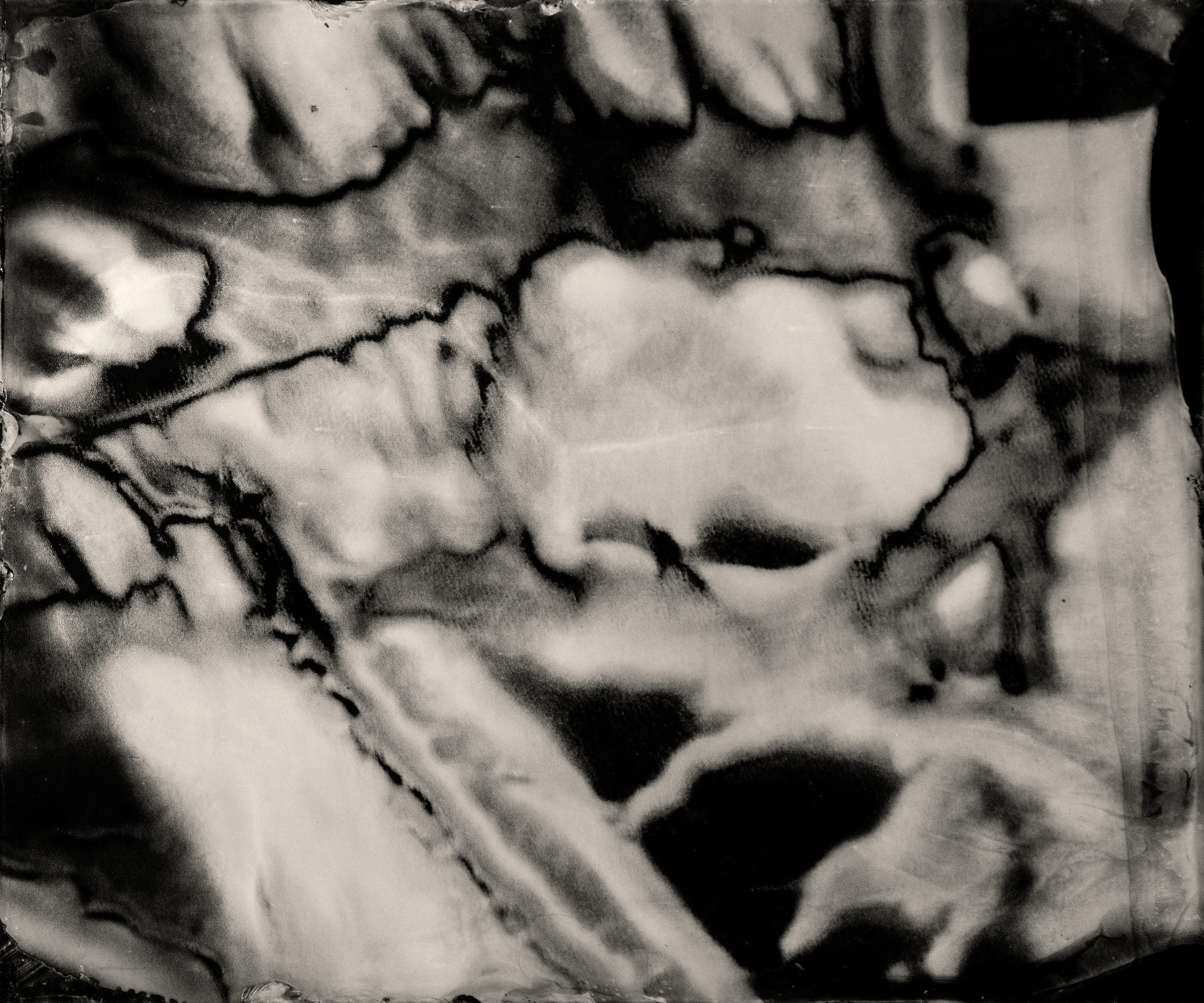 Primordial #3  
2024  
Image (black and white)  
1/1

Erika Weitz and Casey REAS

Digital: 
3864 × 3220 pixels

Physical: 
Dye sublimation on aluminum  
24 × 20 inches

Exhibited in Wet and Saturated Process, 24 April – 25 May 2024 at Unit in Mayfair, London

Primordial is a collection of digital and physical images. Each is a digital file and physical artwork. The collector can receive both, or one can be archived by the artist. If a work is resold, the new collector is entitled to both the digital file and physical artwork.