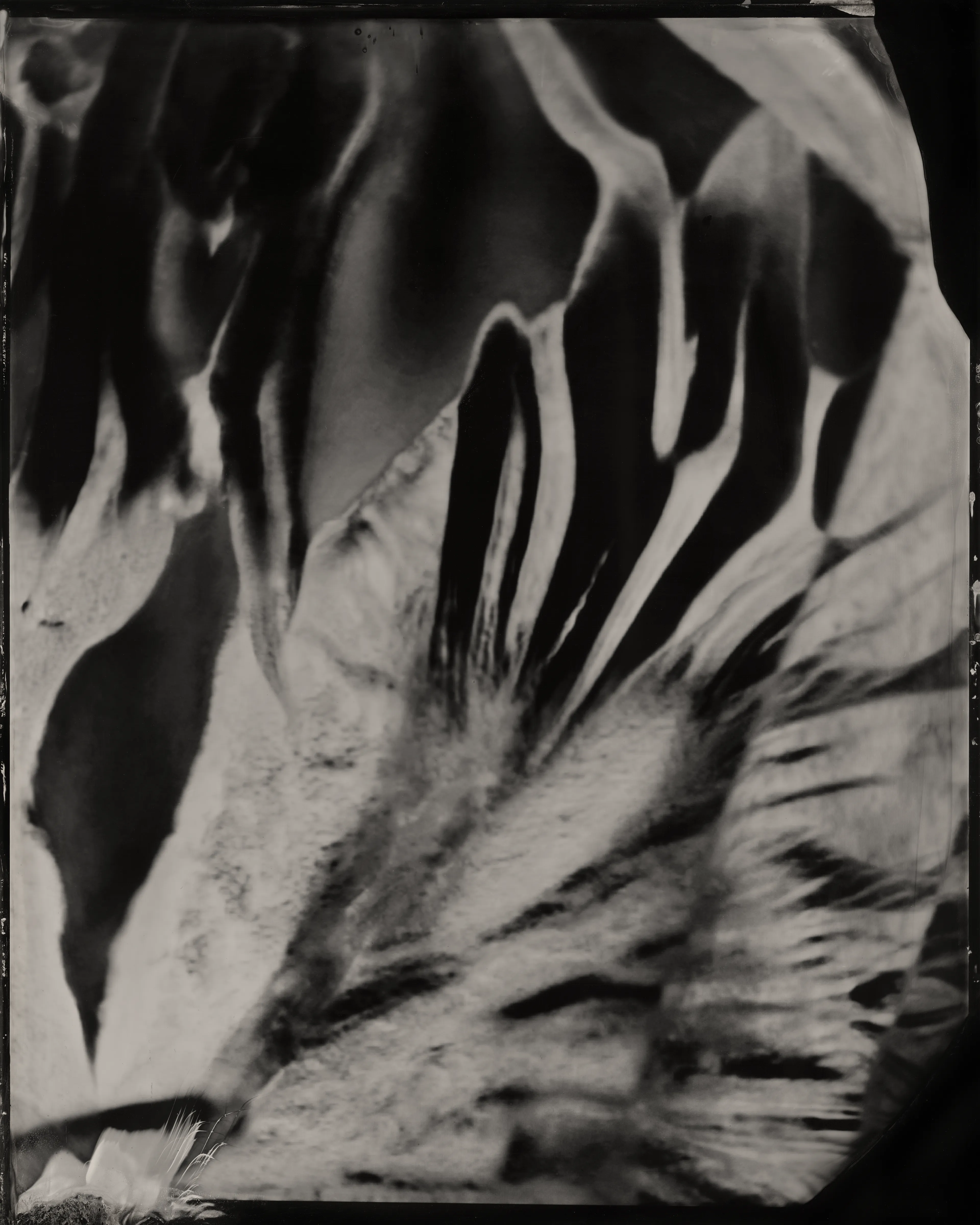 Technical Image #7  
2025 
Image (black and white)  
1/1

Casey REAS and Erika Weitz

Digital: 
7200 × 9000 pixels

Physical: 
Wet plate collodion on aluminum  
8 × 10 inches

Exhibited in Zero 10 @ Art Basel Miami Beach, 3 – 7 December 2025. Presented through bitforms gallery.

Technical Images is a collection of digital and physical images. Each is a digital file and physical artwork. The collector can receive both, or one can be archived by the artist. If a work is resold, the new collector is entitled to both the digital file and physical artwork.