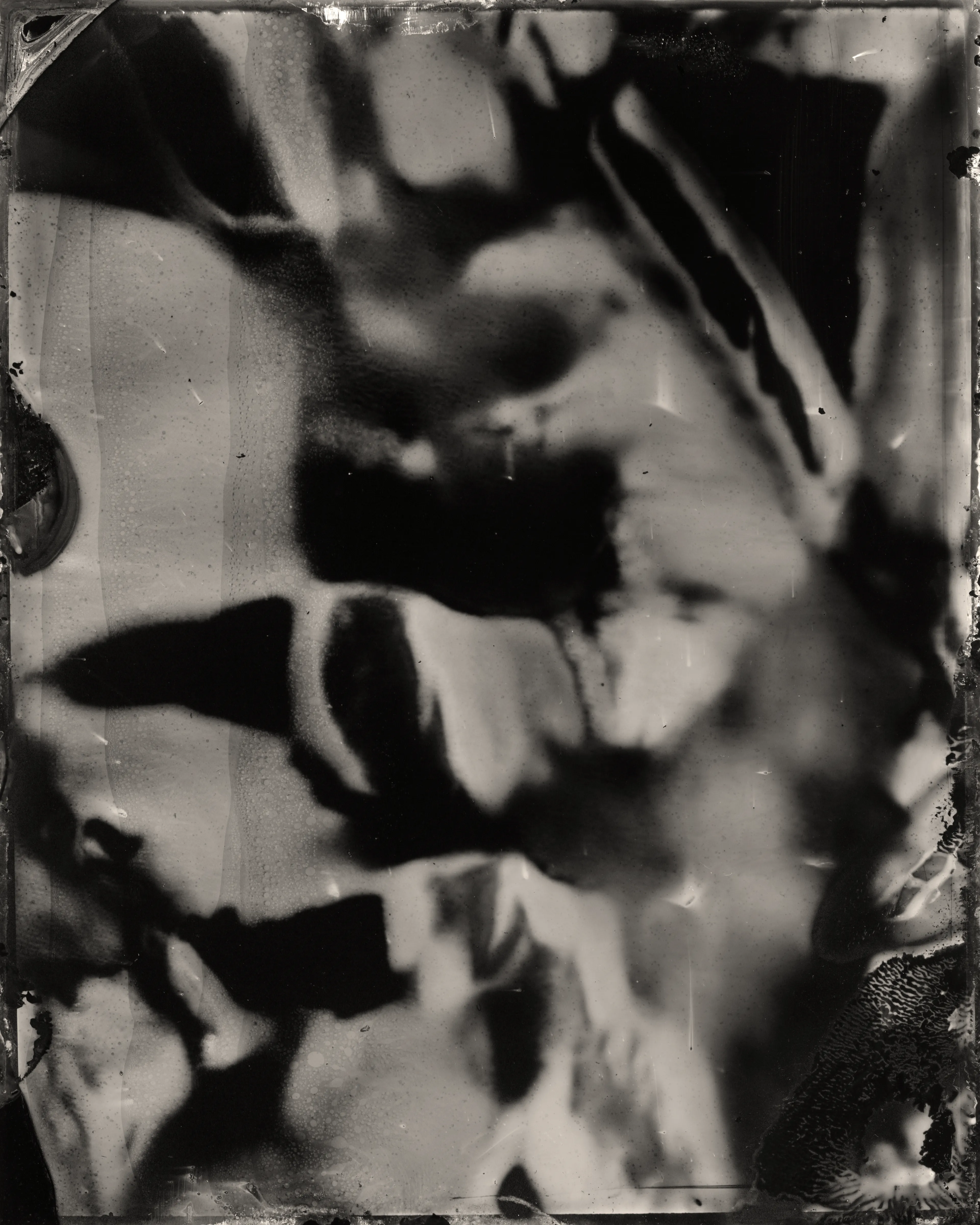 Technical Image #3  
2024  
Image (black and white)  
1/1

Casey REAS and Erika Weitz

Digital: 
9600 × 12000 pixels

Physical: 
Wet plate collodion on aluminum  
4 × 5 inches

Exhibited in Wet and Saturated Process, 24 April – 25 May 2024 at Unit in Mayfair, London

Technical Images is a collection of digital and physical images. Each is a digital file and physical artwork. The collector can receive both, or one can be archived by the artist. If a work is resold, the new collector is entitled to both the digital file and physical artwork.