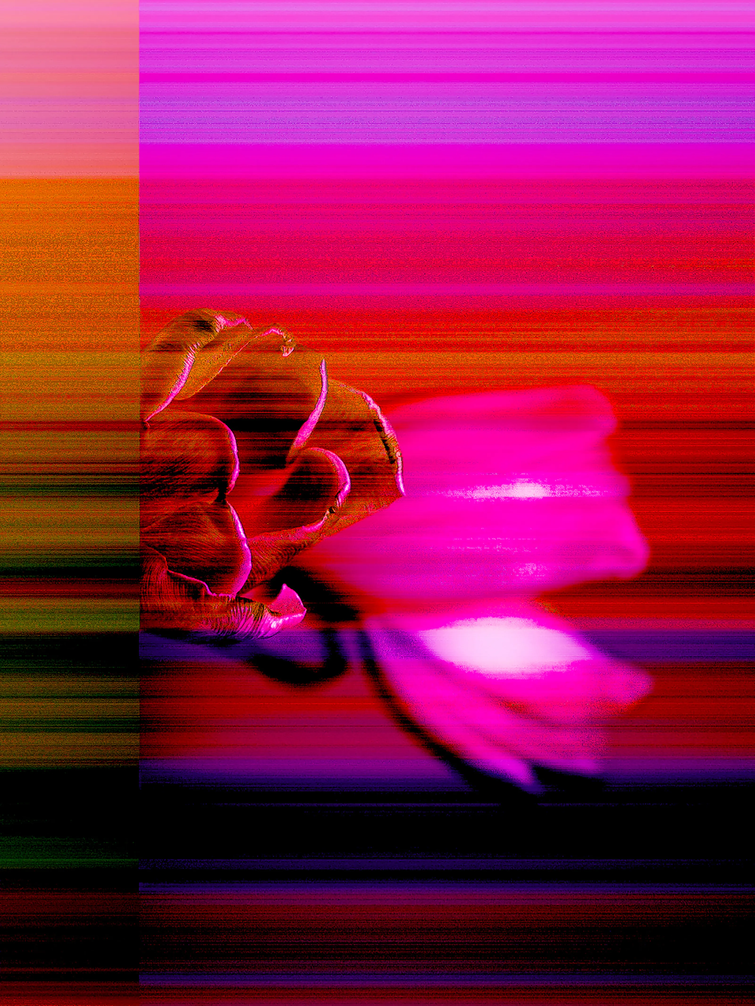 Life is a journey from one transient state to another, while holding onto the pieces we don't want to change. Youth, memories, our loved ones. They all slip away eventually. But an echo remains. And it will ring in our souls till the end of days.

Method: Raw Canon file glitch.