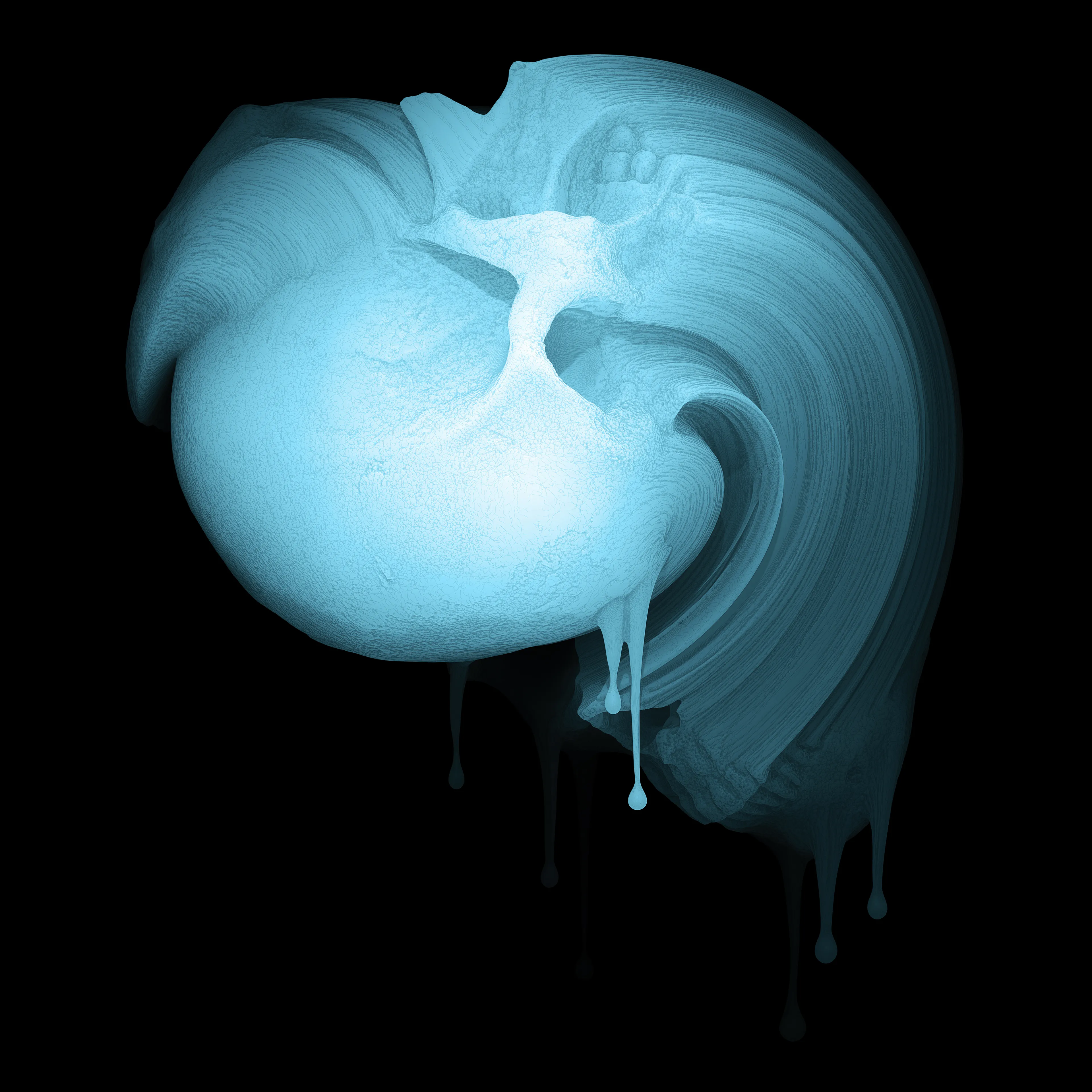 4000 x 4000px
2022