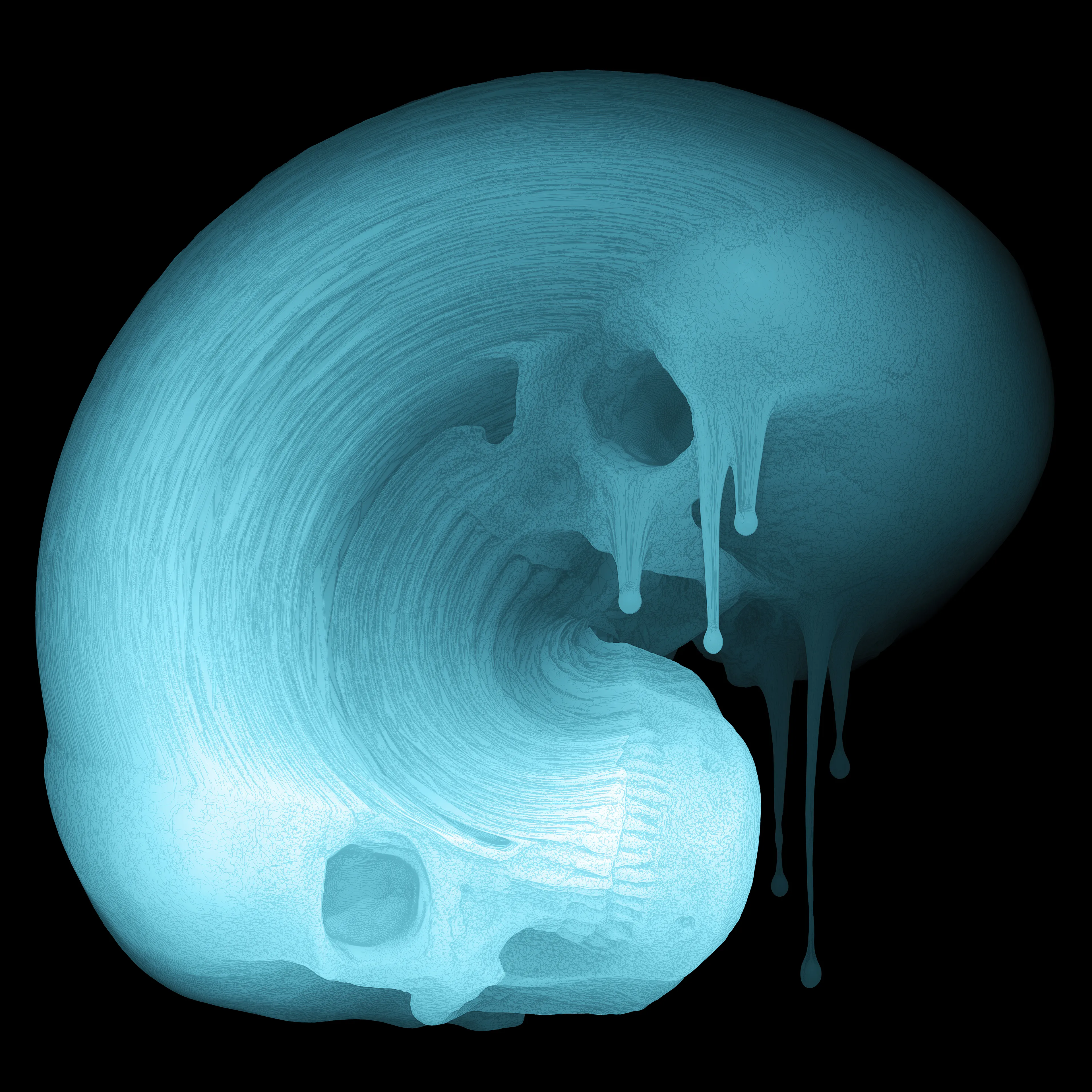 4000 x 4000px
2022