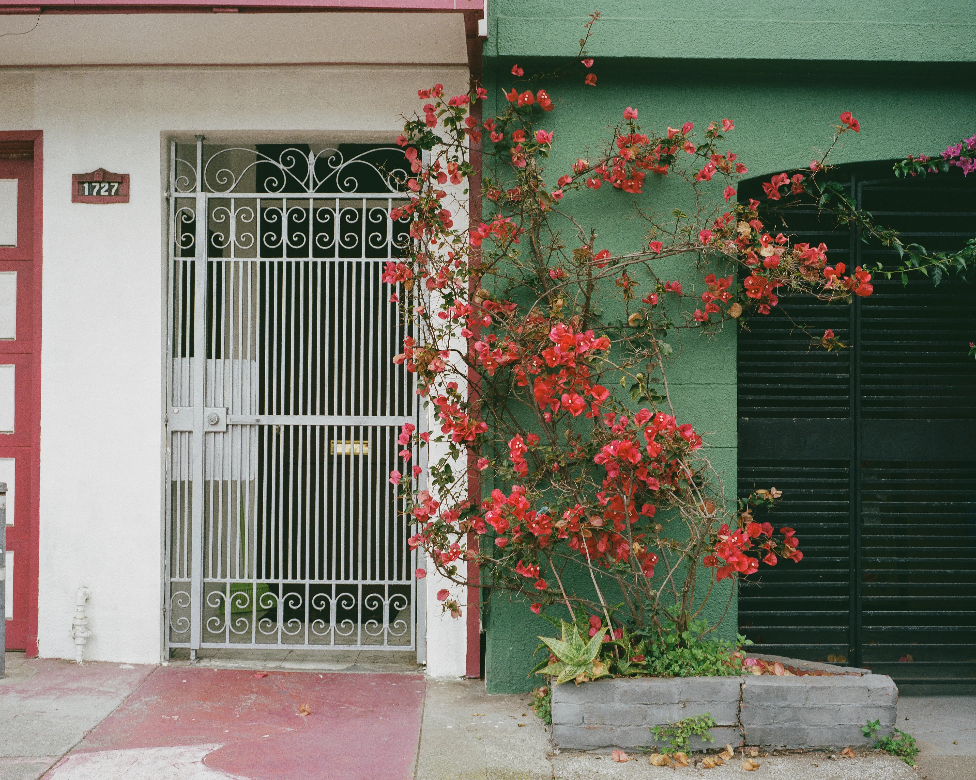 "Outer" is a collection of photographs shot in the Outer Sunset neighborhood of San Francisco, CA. 

Every home in the Outer Sunset has its own unique identity. Although we've likely never met anyone living in these homes, we're able to get a glimpse of their personality through the decorations and color choices of their outer walls.

All photos were shot with a Mamiya 7, using Kodak Portra 400 film stock.