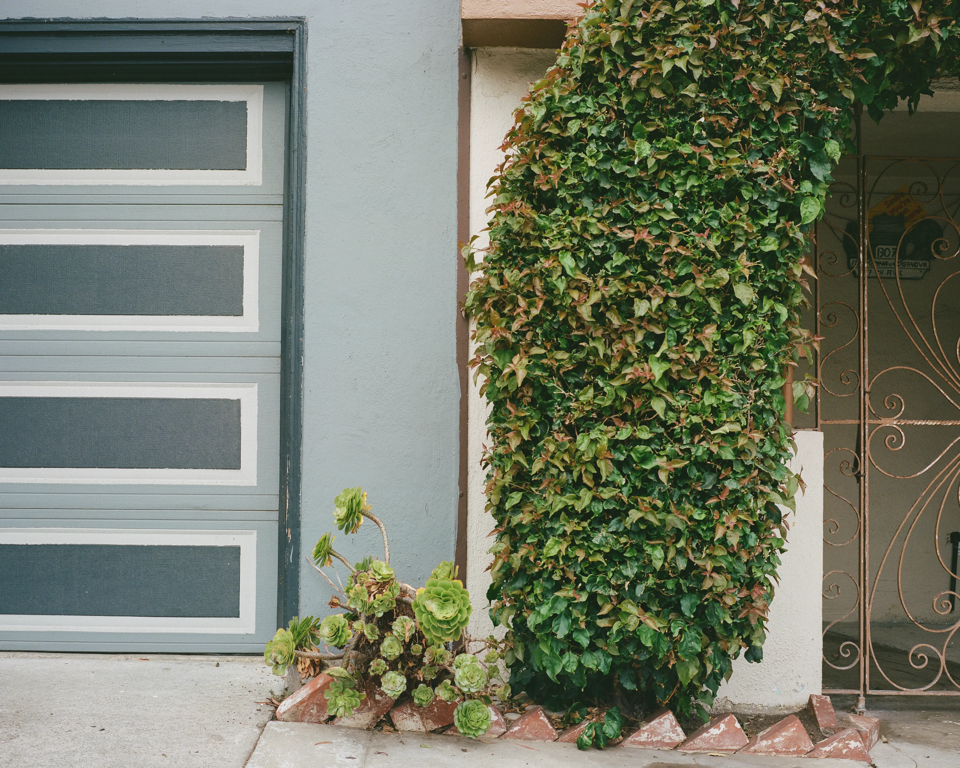 "Outer" is a collection of photographs shot in the Outer Sunset neighborhood of San Francisco, CA. 

Every home in the Outer Sunset has its own unique identity. Although we've likely never met anyone living in these homes, we're able to get a glimpse of their personality through the decorations and color choices of their outer walls.

All photos were shot with a Mamiya 7, using Kodak Portra 400 film stock.