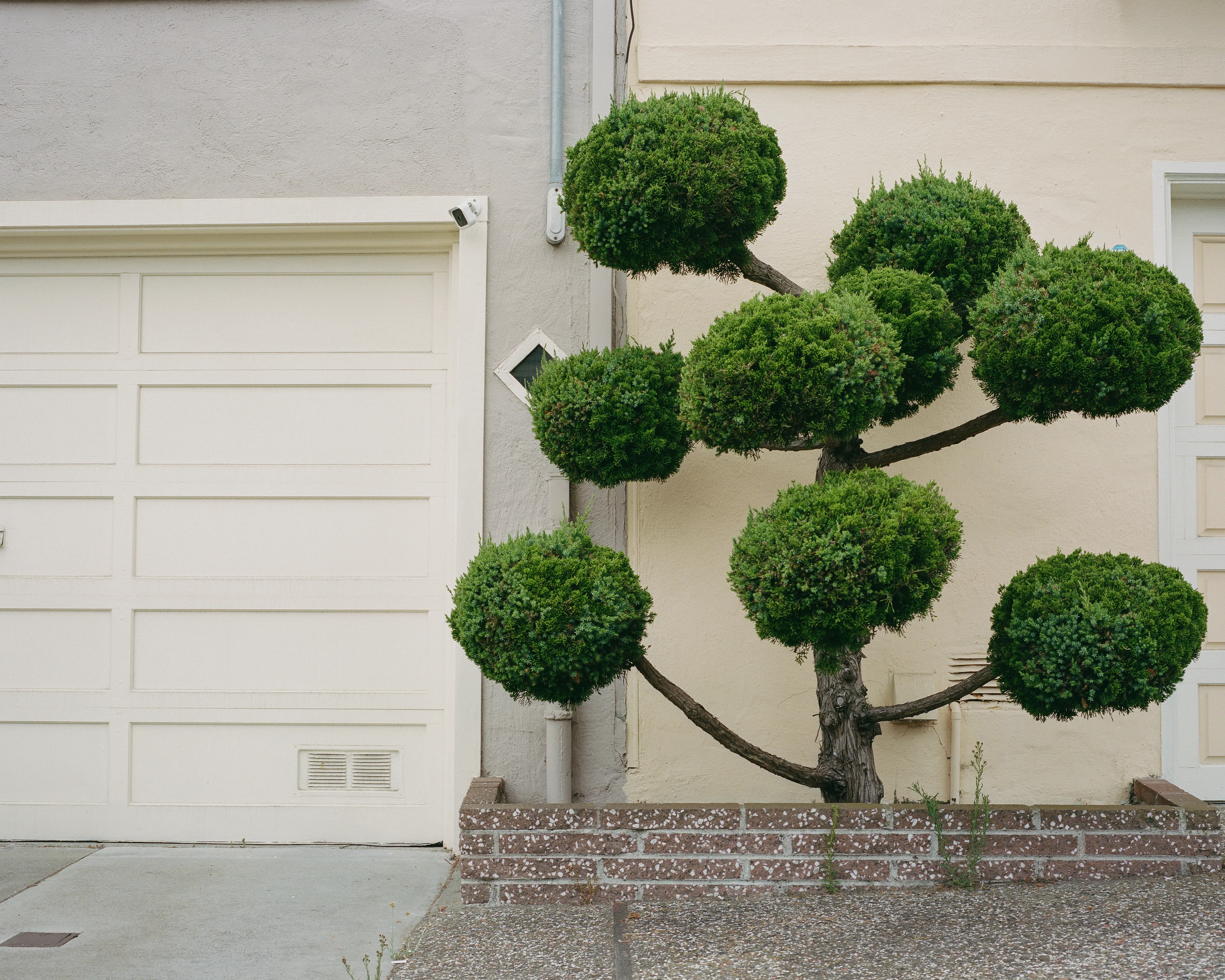 "Outer" is a collection of photographs shot in the Outer Sunset neighborhood of San Francisco, CA. 

Every home in the Outer Sunset has its own unique identity. Although we've likely never met anyone living in these homes, we're able to get a glimpse of their personality through the decorations and color choices of their outer walls.

All photos were shot with a Mamiya 7, using Kodak Portra 400 film stock.