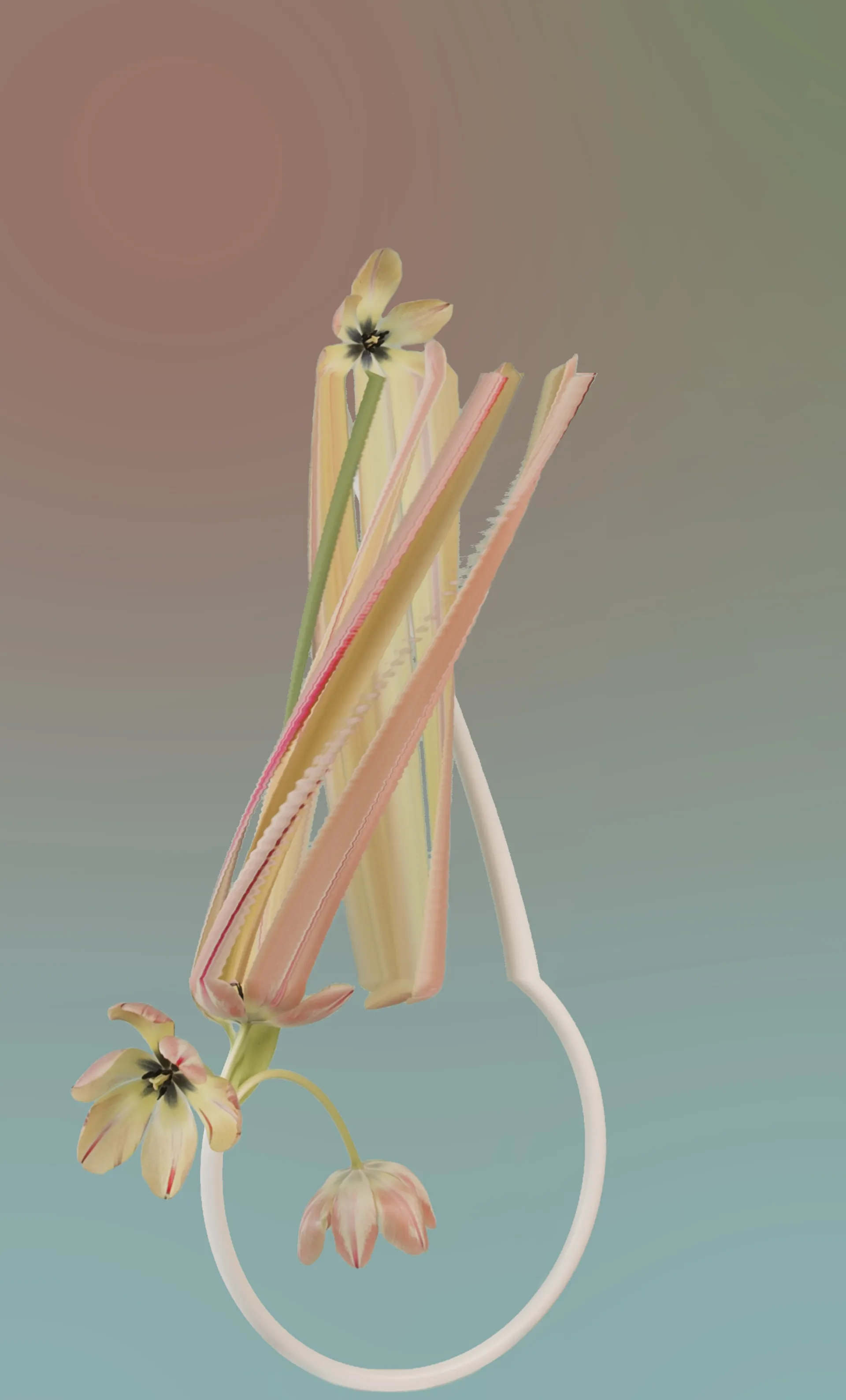 Tulip (*tulipa*)

1/1
jpeg, 1920 x 3176

Using slit scan and time remapping, the transformative colours and textures reveal a futuristic rendering of the botanicals; forming a surreal DNA-like helix structure as they bloom toward a reimagined future.

As the plants transform and mutate over time, the spectacle showcases new cosmic futures, inviting the audience to contemplate how these species morph, change, survive, and thrive over time.