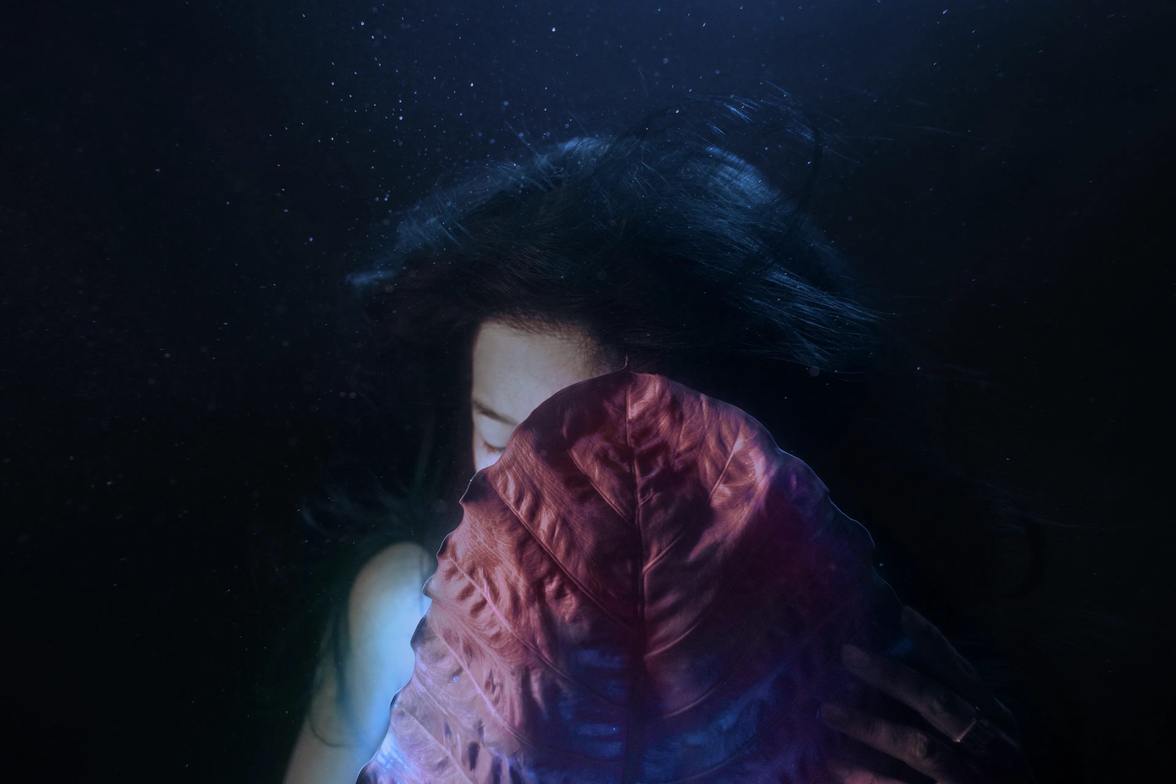 A confronting ode to fostering vulnerability at the mercy of brewing within a perpetual chrysalis.

'Paradox' by Gabriella Morton acknowledges contradictory constructs that sculpt the prism of our persona. The series unpacks prejudice and embraces irony within the ambiguous alchemy of nature versus nurture.