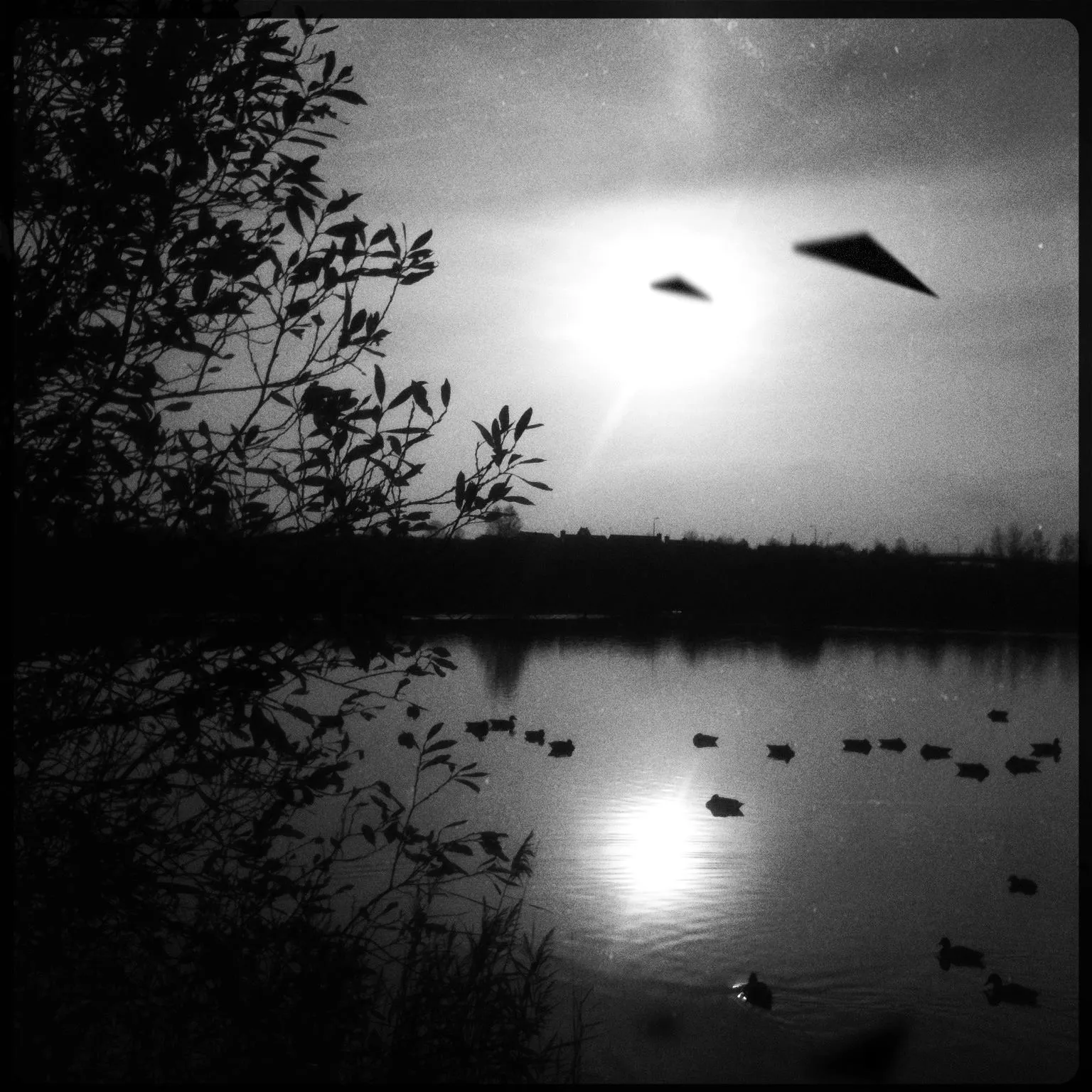 Spotted over Eye Lake, Peterborough, UK. Spring 2010