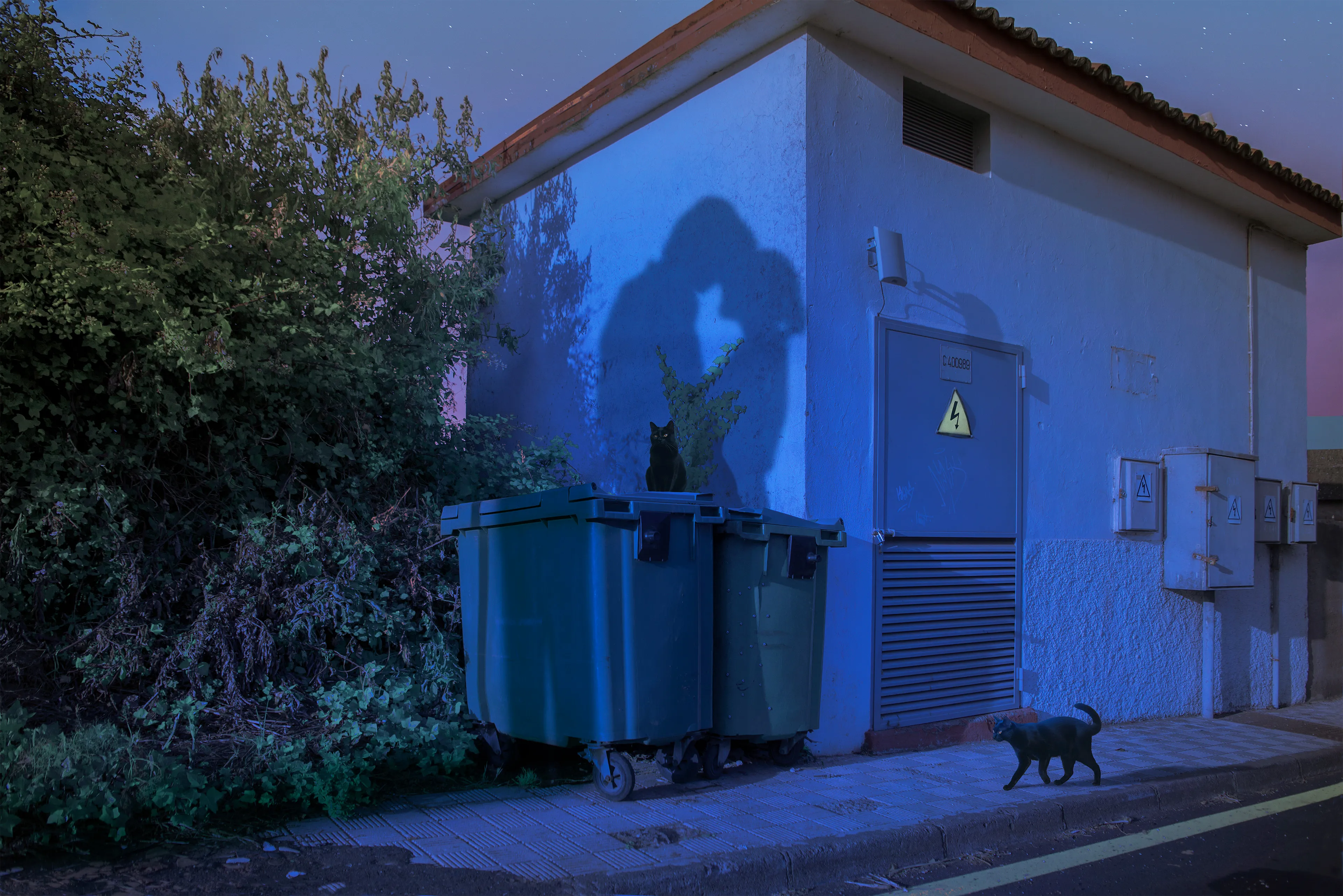 ELECTRICITY - 2023

Electricity is a composite created in Photoshop using a photograph for the background, two AI images for the cats, and an image of a couple generated with AI. Also includes subtle digital painting techniques.  
The process of bringing them together involves taking those images separately and making them to look like part of a coherent single frame  through digital manipulation in Photoshop by using the images itself or their silhouette to create the shadow.