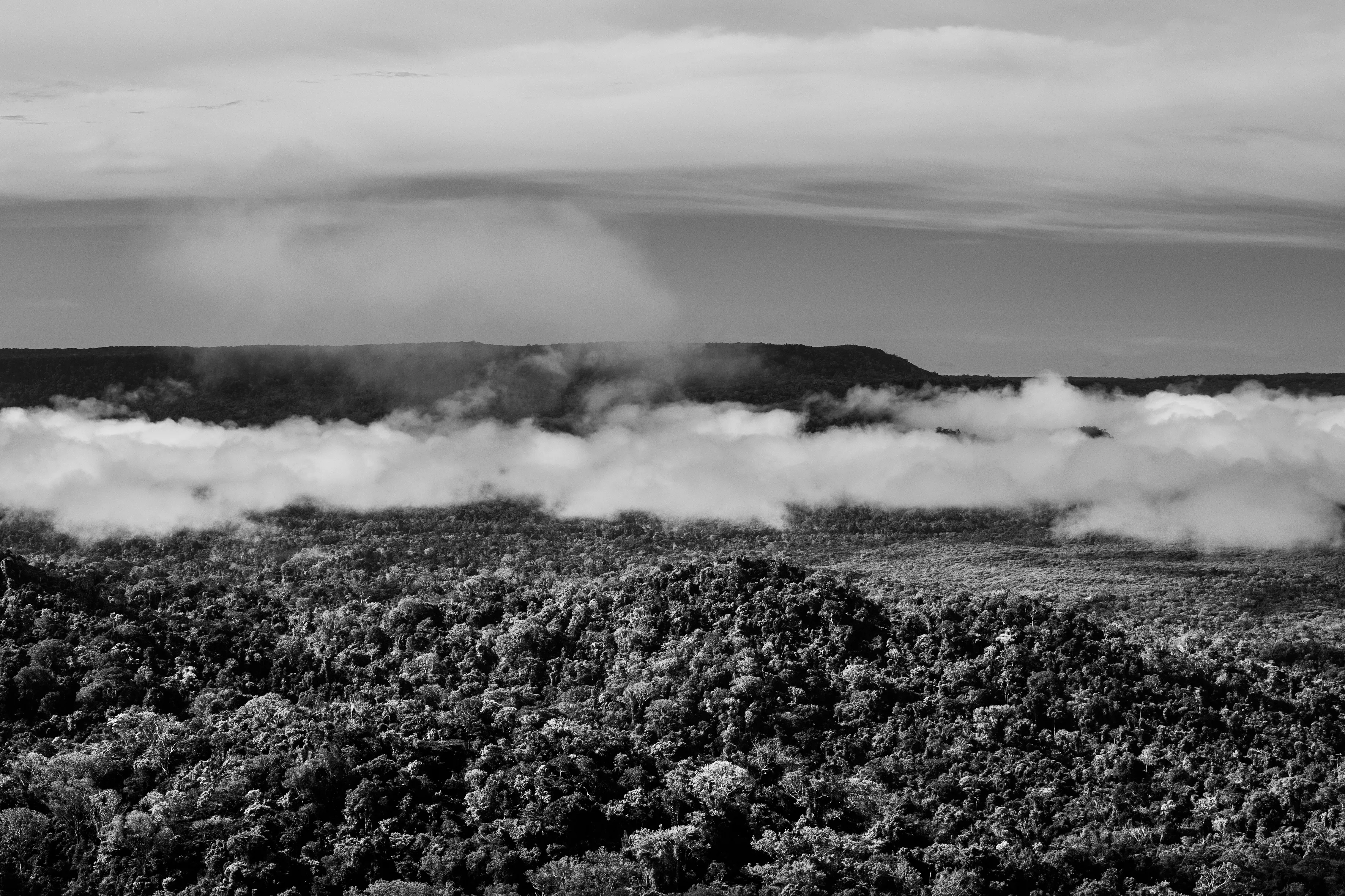 State of Roraima, Brazil, 2018

One of the most extraordinary - and perhaps least known - features of the Amazon rainforest is a phenomenon variously known as "flying rivers" or "aerial rivers." It may seem like a contradiction to talk of a "river" that cannot be seen, yet these "flying rivers" carry more water than the Amazon River itself and affect a larger area of South America and beyond. Scientists have estimated that, while 17 billion tons of water enter the Atlantic from the Amazon River each day, over a similar period 20 billion tons of water rise into the atmosphere from the jungle, earning it the nickname of the "Green Ocean", and then leave the Amazon region. What is remarkable, though, is the scale on which this takes place. A large tree can suck water from as much as 60 meters below the ground and produce as many as 1,000 liters of water per day. And since this is repeated by between 400 and 600 billion trees, it is easy to see how the Amazon forest generates an important proportion of the water that it later receives. In fact, even the water that reaches the mainland through evaporation of sea-water is itself quickly recycled by the jungle in a process known technically as "evapotranspiration." But if the "flying rivers" are vital to the economic welfare of tens of millions of people, mainly in Brazil, they also impact weather patterns across the globe and are themselves vulnerable to the effects of deforestation and global warming.