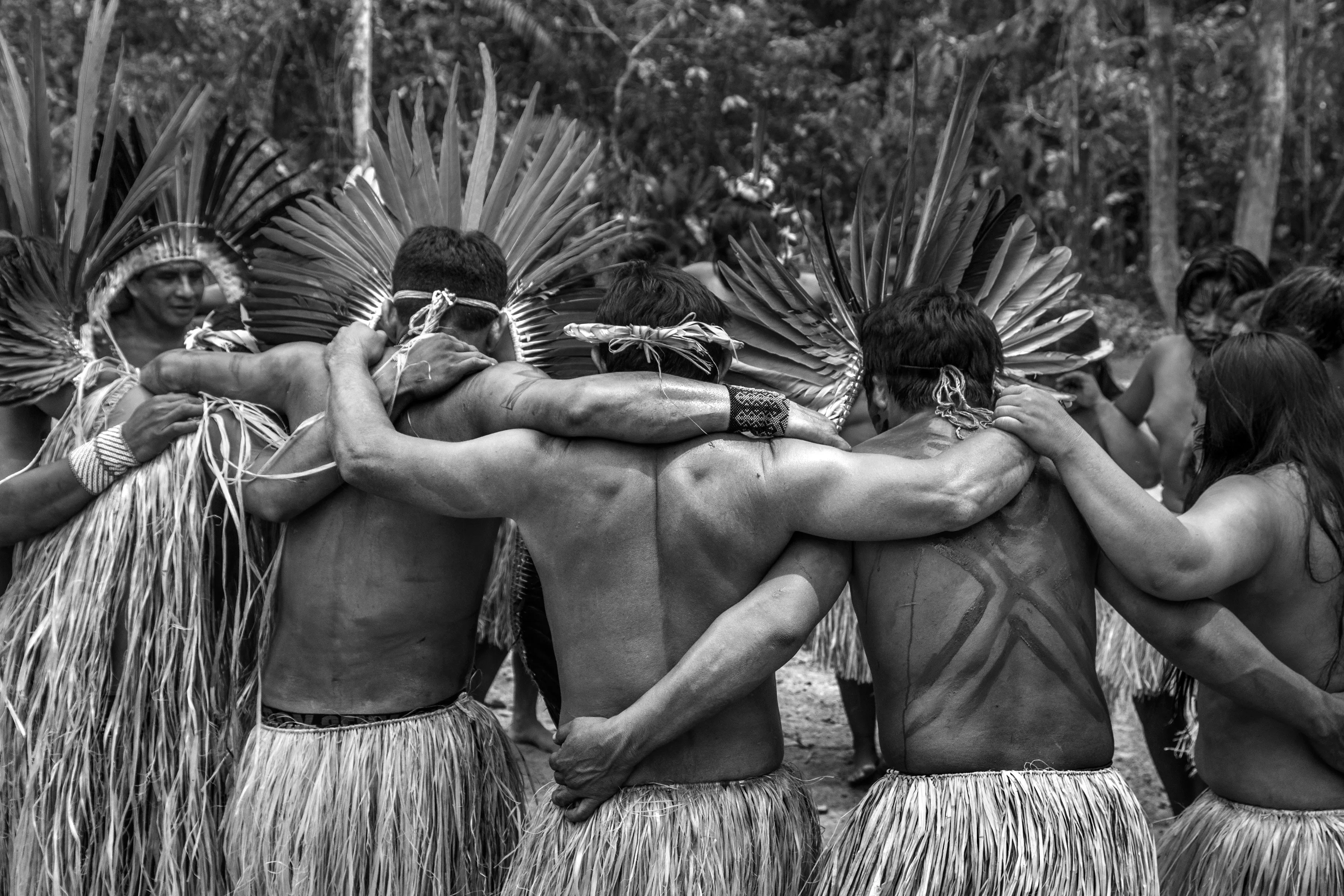 The village of Mutum, Rio Gregório Yawanawá Indigenous Territory, State of Acre, Brazil, 2016.

In the course of some 50 years, the Yawanawá have emerged from complete invisibility into a period of exuberant cultural activity, becoming a reference point for sustainable living and indigenous culture for travelers from all over the world. In 1970, there were just 120 of them, with rampant alcoholism and the resulting social and cultural breakdown, to the point where their language was about to disappear. They were pressured not to use their language in front of whites, mainly by the owners of the rubber plantations, who controlled the forests of Acre from the late 19th century. The plantation owners treated them as slaves and did not want the language to reveal the existence of native tribes who might claim ownership of the land. Another threat was posed by Evangelical missionaries who had enforced Christian worship and attacked traditional indigenous rites as "demonic." Biraci Brasil Yawanawá, better known as Bira, assumed leadership of the group in the early 1990s, expelled the missionaries, got rid of the bibles, reestablished teaching of the traditional language, and began encouraging study of the old myths and stories as a way to pass down the old people's knowledge and memories to the new generations. In three decades, the population has grown to about 1,200 people.