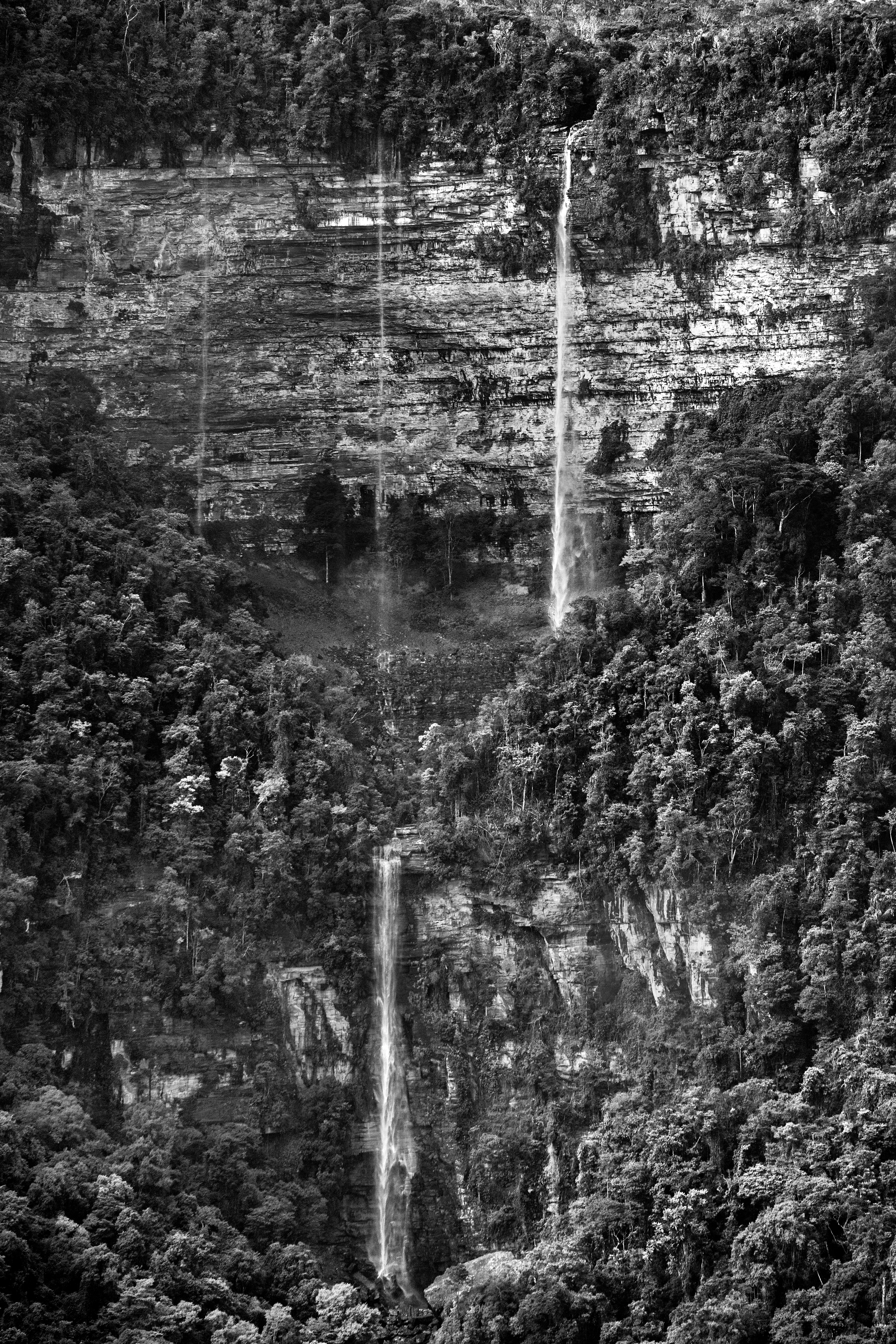 It is only possible to grasp the true dimension of the Amazon forest from space, occupying as it does one-third of the South American continent, an area larger than the entire European Union. Not marked are the land borders of the nine countries that share this ecosystem, although by far the largest part of the territory—over 60 percent—lies inside Brazil. At the heart of this extravaganza of nature is the Amazon River which, fed by some 1,100 tributaries, including 17 over 1,500 kilometers (930 miles) long, disgorges 20 percent of the world's freshwater when it finally enters the Atlantic Ocean. The rainforest also plays a crucial role in slowing climate change, notably as what is known as a "carbon sink." Put simply, every year its trees absorb around two billion tons of carbon dioxide, equivalent to five percent of total emission of greenhouse gases driving global warming. At the same time, the forest not only produces an important portion of the oxygen we breathe, but it also determines how much rain is delivered to other regions of South America and beyond. Nonetheless, with at least 17.25% of the biomass already cut down, the fear is that deforestation may soon reach "a point of no return" where the biome cannot recover, turning large areas of forest into tropical savannas.