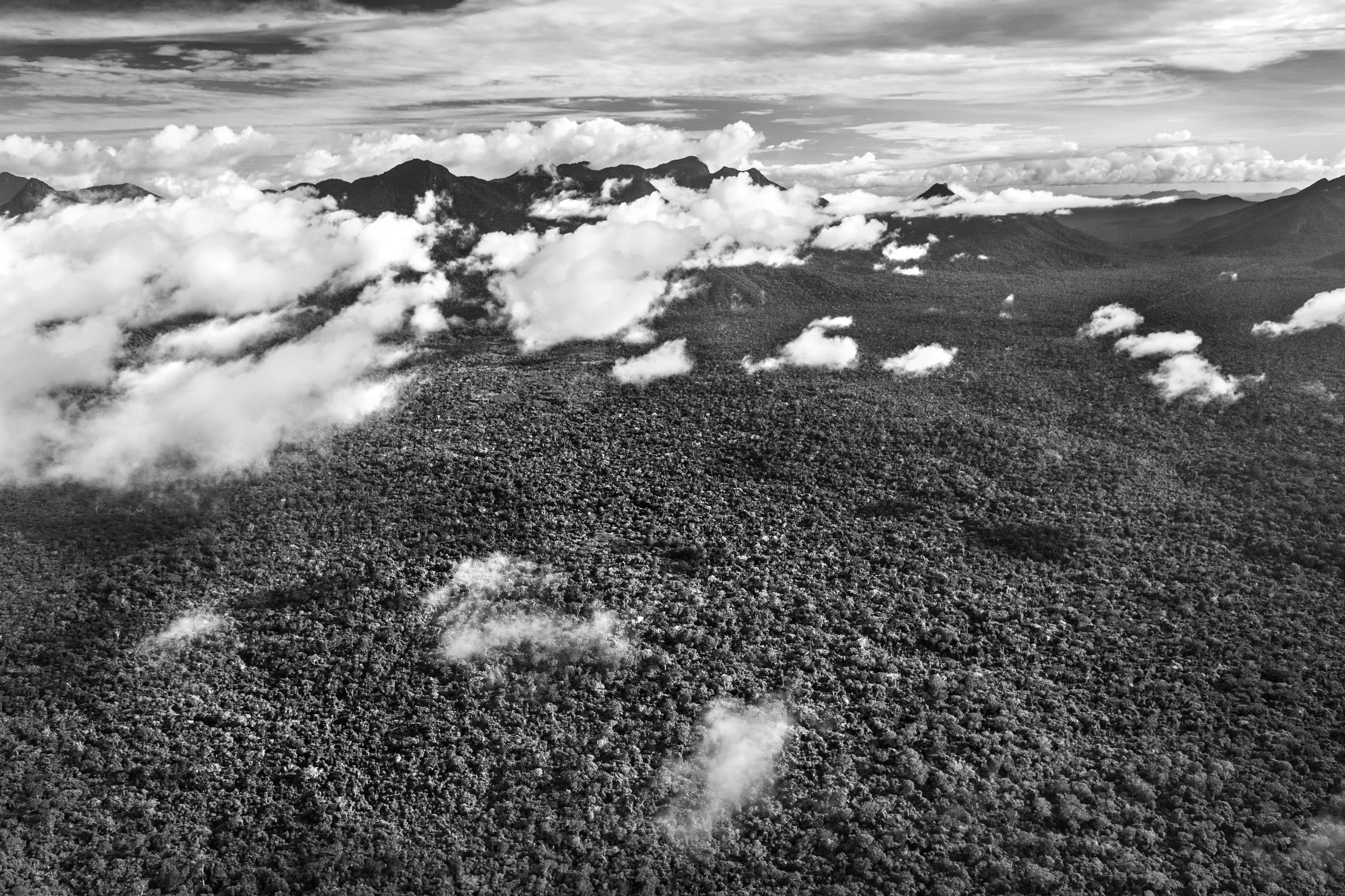 It is only possible to grasp the true dimension of the Amazon forest from space, occupying as it does one-third of the South American continent, an area larger than the entire European Union. Not marked are the land borders of the nine countries that share this ecosystem, although by far the largest part of the territory—over 60 percent—lies inside Brazil. At the heart of this extravaganza of nature is the Amazon River which, fed by some 1,100 tributaries, including 17 over 1,500 kilometers (930 miles) long, disgorges 20 percent of the world's freshwater when it finally enters the Atlantic Ocean. The rainforest also plays a crucial role in slowing climate change, notably as what is known as a "carbon sink." Put simply, every year its trees absorb around two billion tons of carbon dioxide, equivalent to five percent of total emission of greenhouse gases driving global warming. At the same time, the forest not only produces an important portion of the oxygen we breathe, but it also determines how much rain is delivered to other regions of South America and beyond. Nonetheless, with at least 17.25% of the biomass already cut down, the fear is that deforestation may soon reach "a point of no return" where the biome cannot recover, turning large areas of forest into tropical savannas.