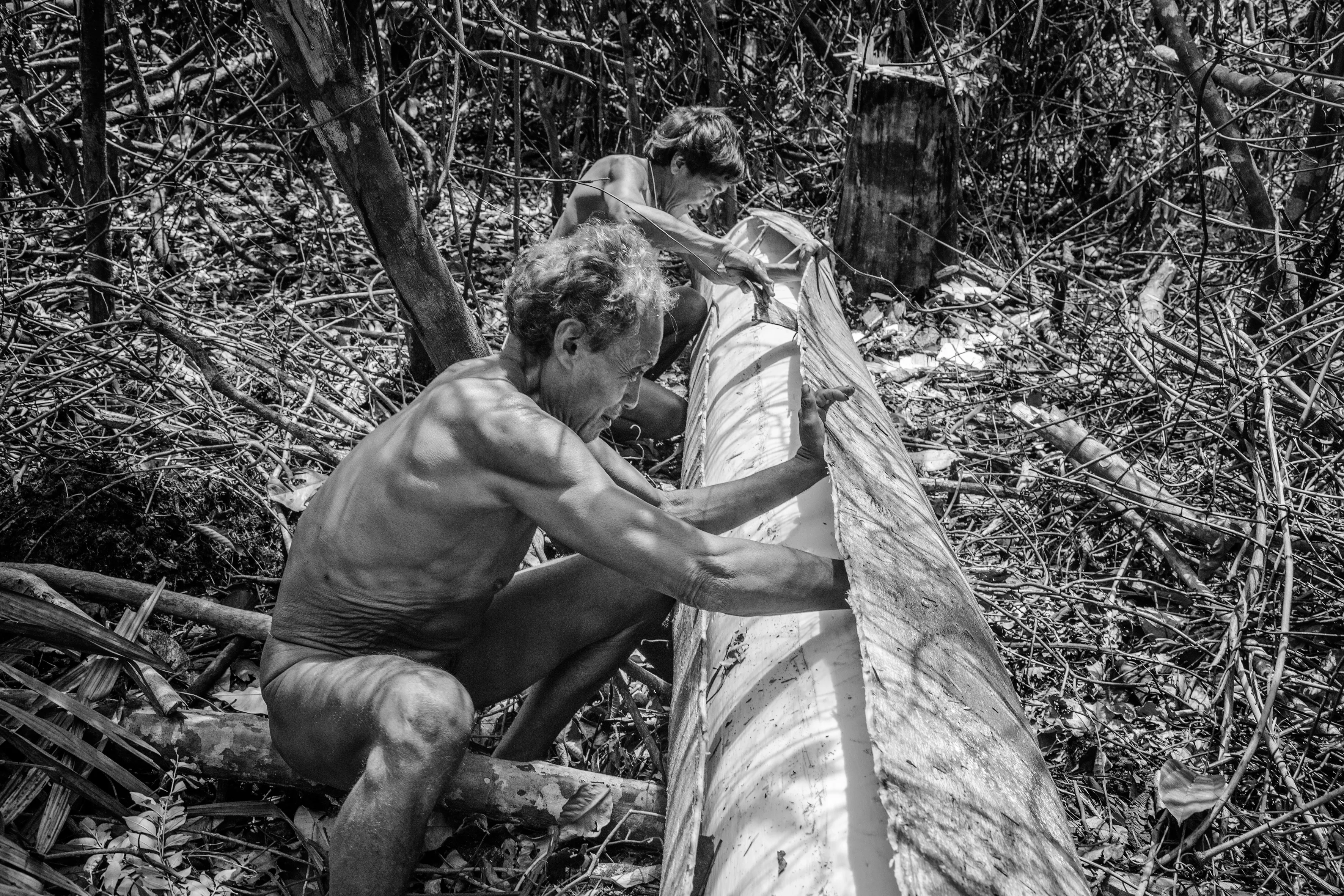 The communal maloca of Watoriki, Yanomami Indigenous Territory, State of Amazonas, Brazil, 2014.

The Yanomami are the largest low-contact indigenous ethnic group in the world. They have a population of around 40,000 people, with 28,000 in Brazil and the rest in Venezuela. They live in mountains ranges and valleys in the far north of Brazil, in the country's largest indigenous territory. The land extends from the north of the state of Roraima to the Rio Negro in the state of Amazonas. Shamanism is central to Yanomami culture. Their main leader is the shaman Davi Kopenawa, a pioneer in the campaign to establish the Yanomami Indigenous Territory, starting in the late 1970s. In 1993, Haximu, a Yanomami community, suffered a massacre by illegal miners. This led to the only conviction for the crime of genocide in the entire history of Brazilian justice. The Yanomami include at least one isolated group.