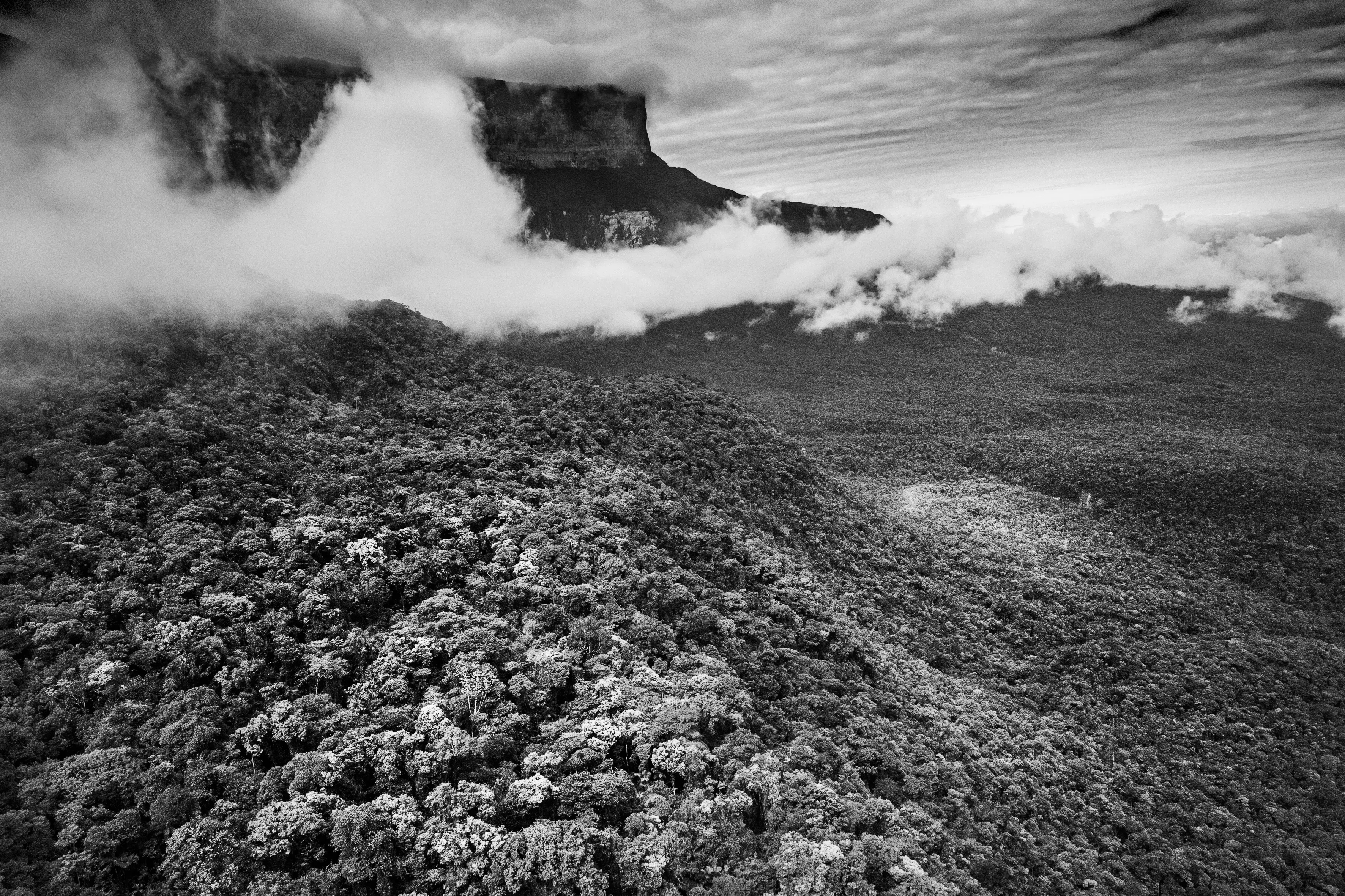 State of Roraima, Brazil, 2018

One of the most extraordinary - and perhaps least known - features of the Amazon rainforest is a phenomenon variously known as "flying rivers" or "aerial rivers." It may seem like a contradiction to talk of a "river" that cannot be seen, yet these "flying rivers" carry more water than the Amazon River itself and affect a larger area of South America and beyond. Scientists have estimated that, while 17 billion tons of water enter the Atlantic from the Amazon River each day, over a similar period 20 billion tons of water rise into the atmosphere from the jungle, earning it the nickname of the "Green Ocean", and then leave the Amazon region. What is remarkable, though, is the scale on which this takes place. A large tree can suck water from as much as 60 meters below the ground and produce as many as 1,000 liters of water per day. And since this is repeated by between 400 and 600 billion trees, it is easy to see how the Amazon forest generates an important proportion of the water that it later receives. In fact, even the water that reaches the mainland through evaporation of sea-water is itself quickly recycled by the jungle in a process known technically as "evapotranspiration." But if the "flying rivers" are vital to the economic welfare of tens of millions of people, mainly in Brazil, they also impact weather patterns across the globe and are themselves vulnerable to the effects of deforestation and global warming.