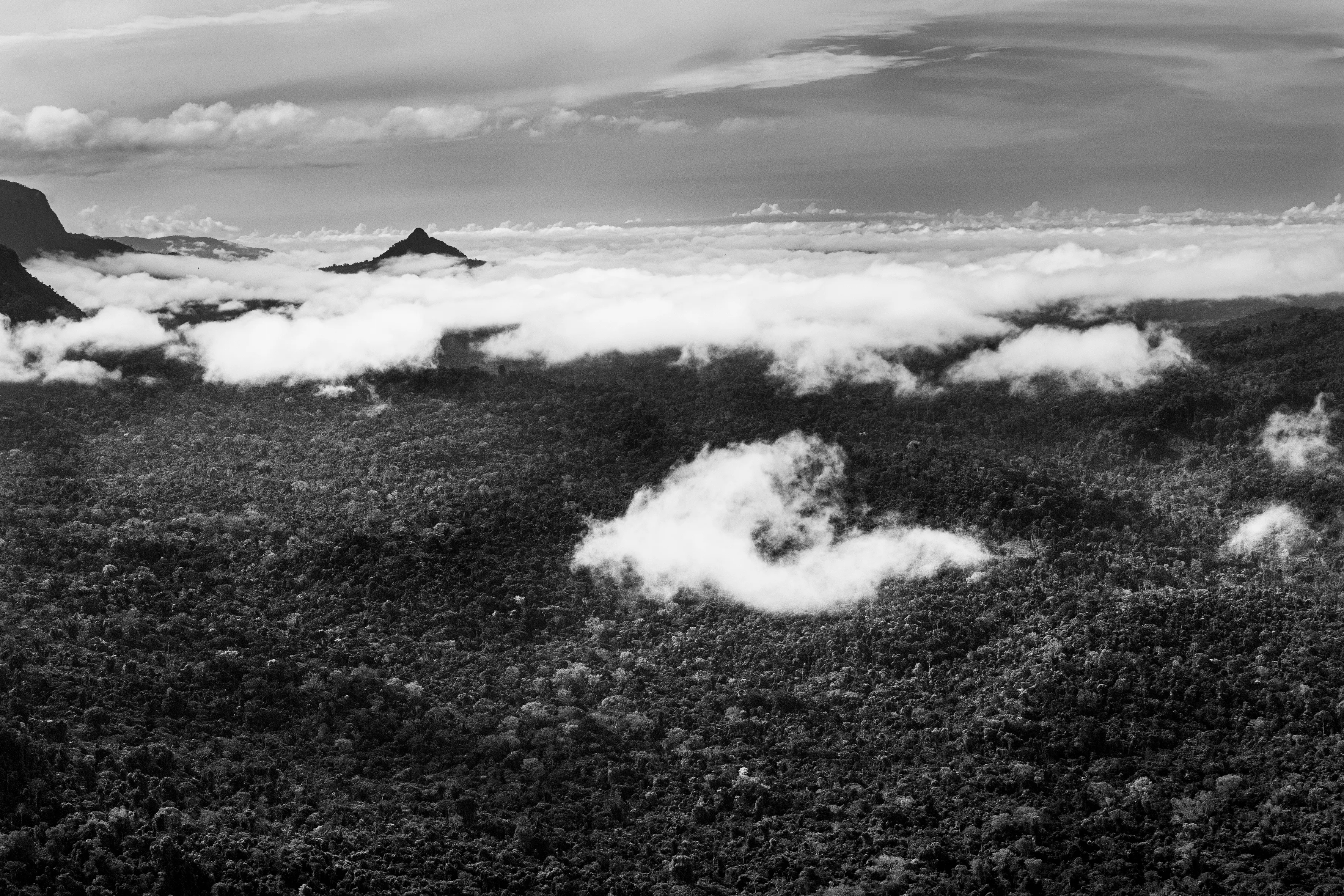State of Roraima, Brazil, 2018

One of the most extraordinary - and perhaps least known - features of the Amazon rainforest is a phenomenon variously known as "flying rivers" or "aerial rivers." It may seem like a contradiction to talk of a "river" that cannot be seen, yet these "flying rivers" carry more water than the Amazon River itself and affect a larger area of South America and beyond. Scientists have estimated that, while 17 billion tons of water enter the Atlantic from the Amazon River each day, over a similar period 20 billion tons of water rise into the atmosphere from the jungle, earning it the nickname of the "Green Ocean", and then leave the Amazon region. What is remarkable, though, is the scale on which this takes place. A large tree can suck water from as much as 60 meters below the ground and produce as many as 1,000 liters of water per day. And since this is repeated by between 400 and 600 billion trees, it is easy to see how the Amazon forest generates an important proportion of the water that it later receives. In fact, even the water that reaches the mainland through evaporation of sea-water is itself quickly recycled by the jungle in a process known technically as "evapotranspiration." But if the "flying rivers" are vital to the economic welfare of tens of millions of people, mainly in Brazil, they also impact weather patterns across the globe and are themselves vulnerable to the effects of deforestation and global warming.