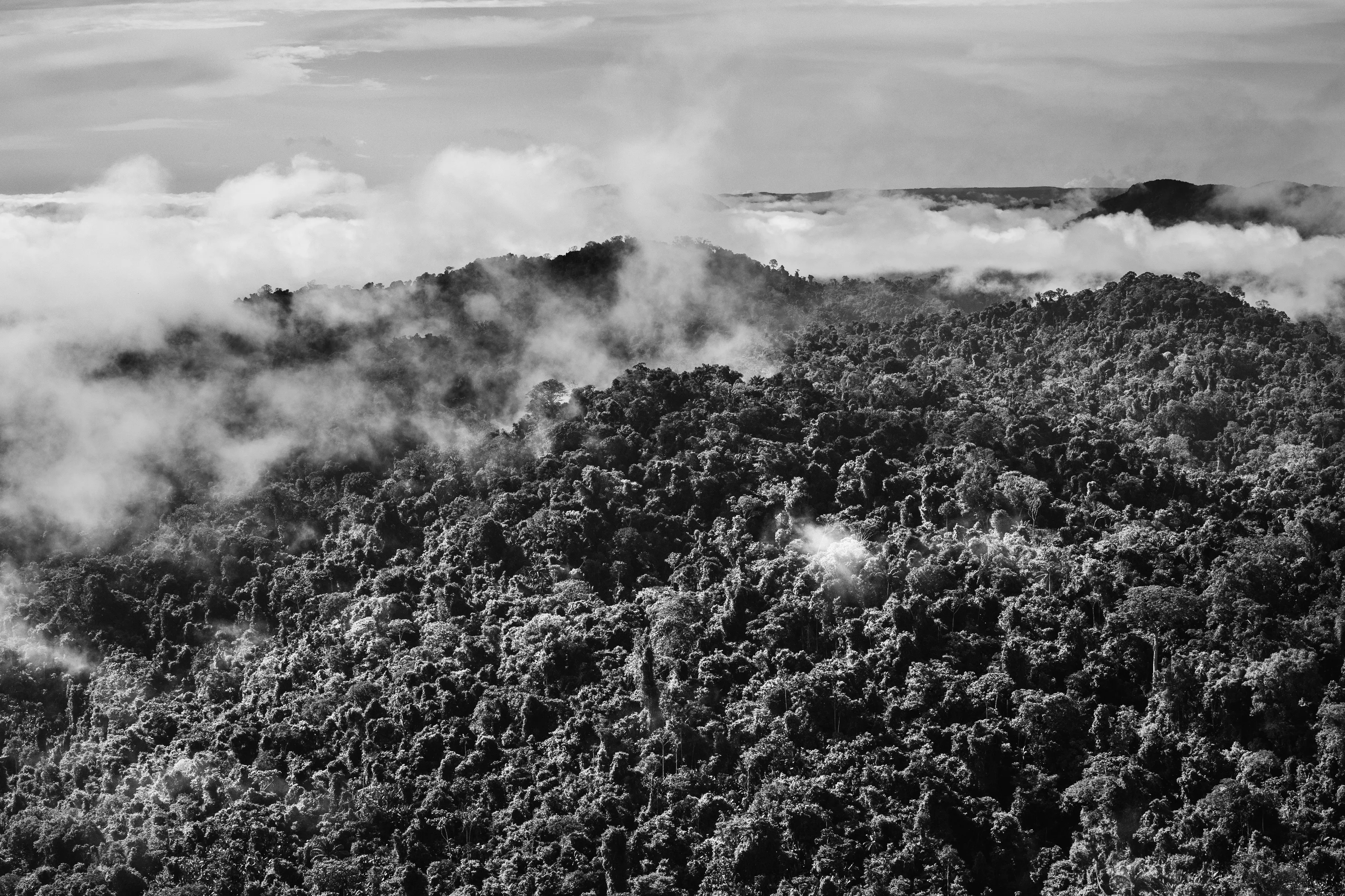 State of Roraima, Brazil, 2018

One of the most extraordinary - and perhaps least known - features of the Amazon rainforest is a phenomenon variously known as "flying rivers" or "aerial rivers." It may seem like a contradiction to talk of a "river" that cannot be seen, yet these "flying rivers" carry more water than the Amazon River itself and affect a larger area of South America and beyond. Scientists have estimated that, while 17 billion tons of water enter the Atlantic from the Amazon River each day, over a similar period 20 billion tons of water rise into the atmosphere from the jungle, earning it the nickname of the "Green Ocean", and then leave the Amazon region. What is remarkable, though, is the scale on which this takes place. A large tree can suck water from as much as 60 meters below the ground and produce as many as 1,000 liters of water per day. And since this is repeated by between 400 and 600 billion trees, it is easy to see how the Amazon forest generates an important proportion of the water that it later receives. In fact, even the water that reaches the mainland through evaporation of sea-water is itself quickly recycled by the jungle in a process known technically as "evapotranspiration." But if the "flying rivers" are vital to the economic welfare of tens of millions of people, mainly in Brazil, they also impact weather patterns across the globe and are themselves vulnerable to the effects of deforestation and global warming.