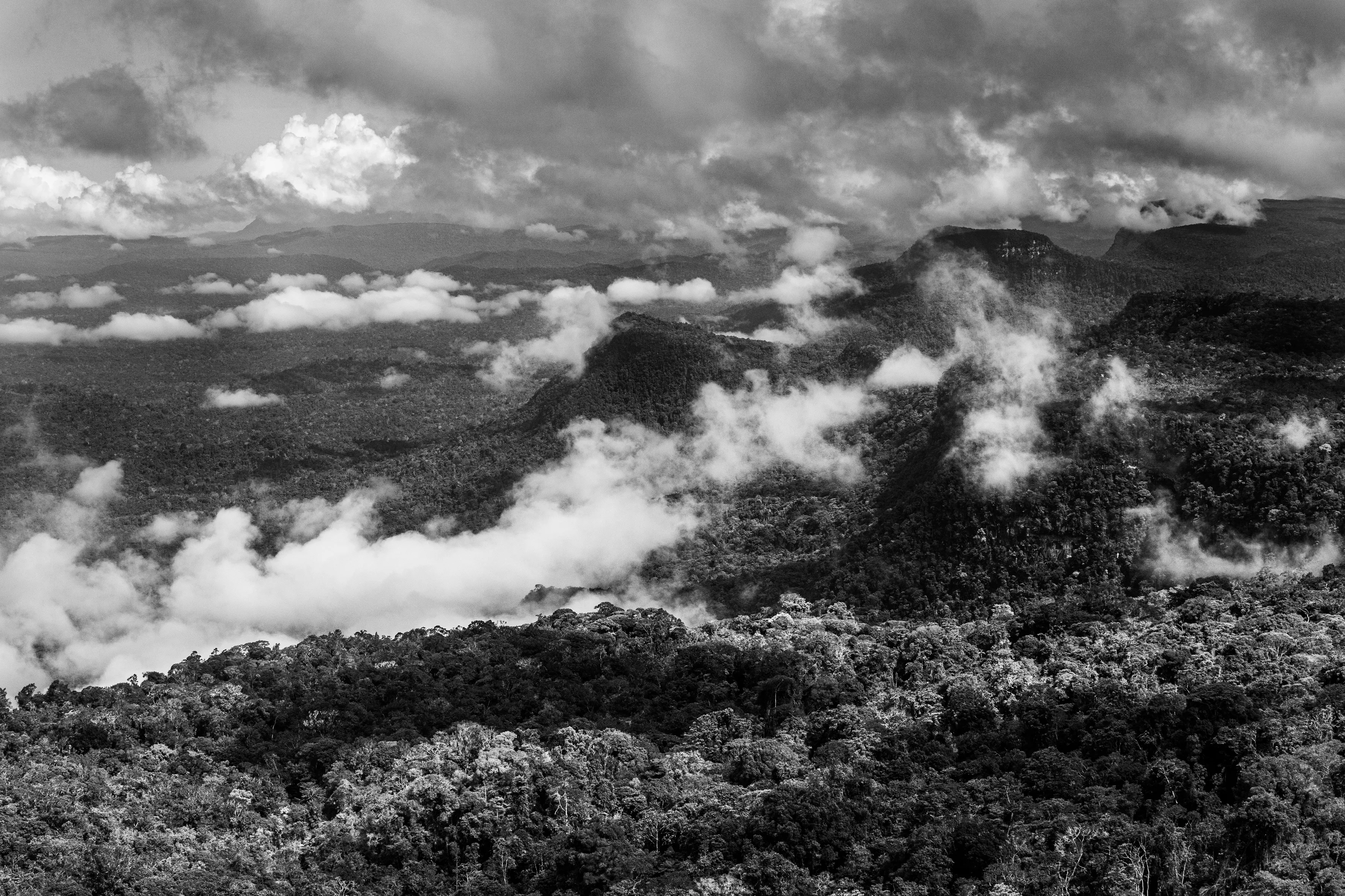 It is only possible to grasp the true dimension of the Amazon forest from space, occupying as it does one-third of the South American continent, an area larger than the entire European Union. Not marked are the land borders of the nine countries that share this ecosystem, although by far the largest part of the territory—over 60 percent—lies inside Brazil. At the heart of this extravaganza of nature is the Amazon River which, fed by some 1,100 tributaries, including 17 over 1,500 kilometers (930 miles) long, disgorges 20 percent of the world's freshwater when it finally enters the Atlantic Ocean. The rainforest also plays a crucial role in slowing climate change, notably as what is known as a "carbon sink." Put simply, every year its trees absorb around two billion tons of carbon dioxide, equivalent to five percent of total emission of greenhouse gases driving global warming. At the same time, the forest not only produces an important portion of the oxygen we breathe, but it also determines how much rain is delivered to other regions of South America and beyond. Nonetheless, with at least 17.25% of the biomass already cut down, the fear is that deforestation may soon reach "a point of no return" where the biome cannot recover, turning large areas of forest into tropical savannas.
