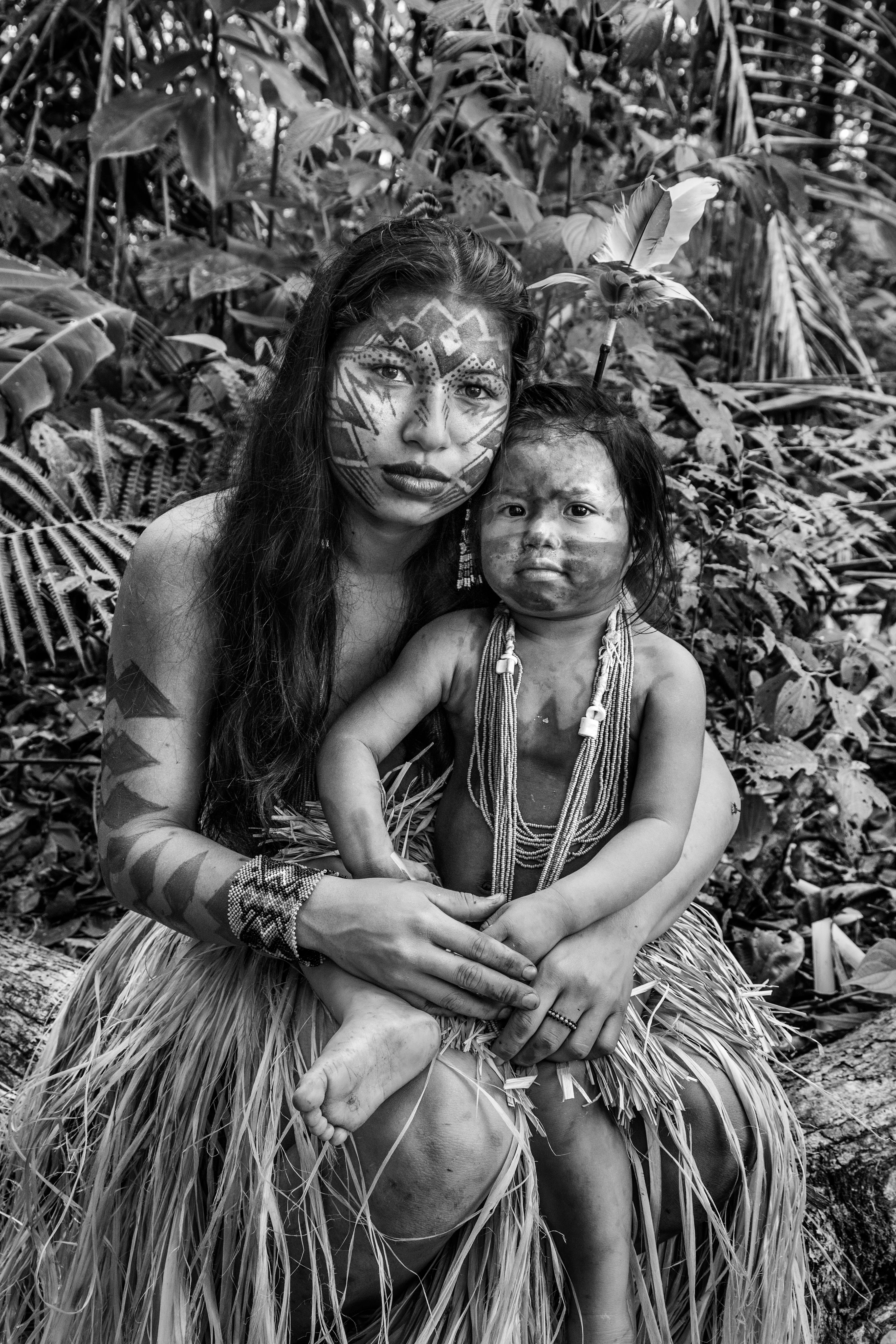 Nova Esperança community, Rio Gregório Yawanawá Indigenous Territory, State of Acre, Brazil, 2016.

In the course of some 50 years, the Yawanawá have emerged from complete invisibility into a period of exuberant cultural activity, becoming a reference point for sustainable living and indigenous culture for travelers from all over the world. In 1970, there were just 120 of them, with rampant alcoholism and the resulting social and cultural breakdown, to the point where their language was about to disappear. They were pressured not to use their language in front of whites, mainly by the owners of the rubber plantations, who controlled the forests of Acre from the late 19th century. The plantation owners treated them as slaves and did not want the language to reveal the existence of native tribes who might claim ownership of the land. Another threat was posed by Evangelical missionaries who had enforced Christian worship and attacked traditional indigenous rites as "demonic." Biraci Brasil Yawanawá, better known as Bira, assumed leadership of the group in the early 1990s, expelled the missionaries, got rid of the bibles, reestablished teaching of the traditional language, and began encouraging study of the old myths and stories as a way to pass down the old people's knowledge and memories to the new generations. In three decades, the population has grown to about 1,200 people.