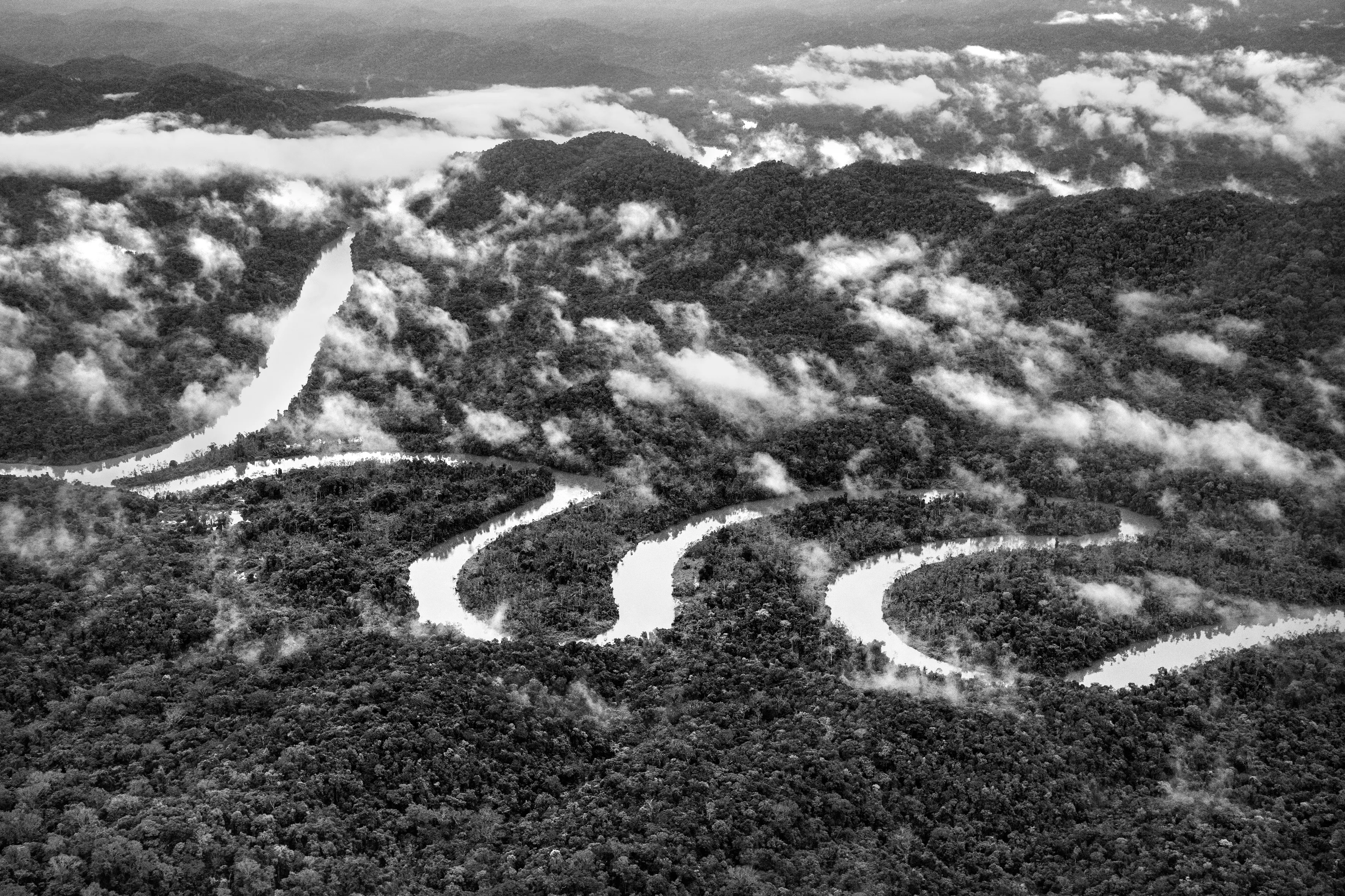 It is only possible to grasp the true dimension of the Amazon forest from space, occupying as it does one-third of the South American continent, an area larger than the entire European Union. Not marked are the land borders of the nine countries that share this ecosystem, although by far the largest part of the territory—over 60 percent—lies inside Brazil. At the heart of this extravaganza of nature is the Amazon River which, fed by some 1,100 tributaries, including 17 over 1,500 kilometers (930 miles) long, disgorges 20 percent of the world's freshwater when it finally enters the Atlantic Ocean. The rainforest also plays a crucial role in slowing climate change, notably as what is known as a "carbon sink." Put simply, every year its trees absorb around two billion tons of carbon dioxide, equivalent to five percent of total emission of greenhouse gases driving global warming. At the same time, the forest not only produces an important portion of the oxygen we breathe, but it also determines how much rain is delivered to other regions of South America and beyond. Nonetheless, with at least 17.25% of the biomass already cut down, the fear is that deforestation may soon reach "a point of no return" where the biome cannot recover, turning large areas of forest into tropical savannas.