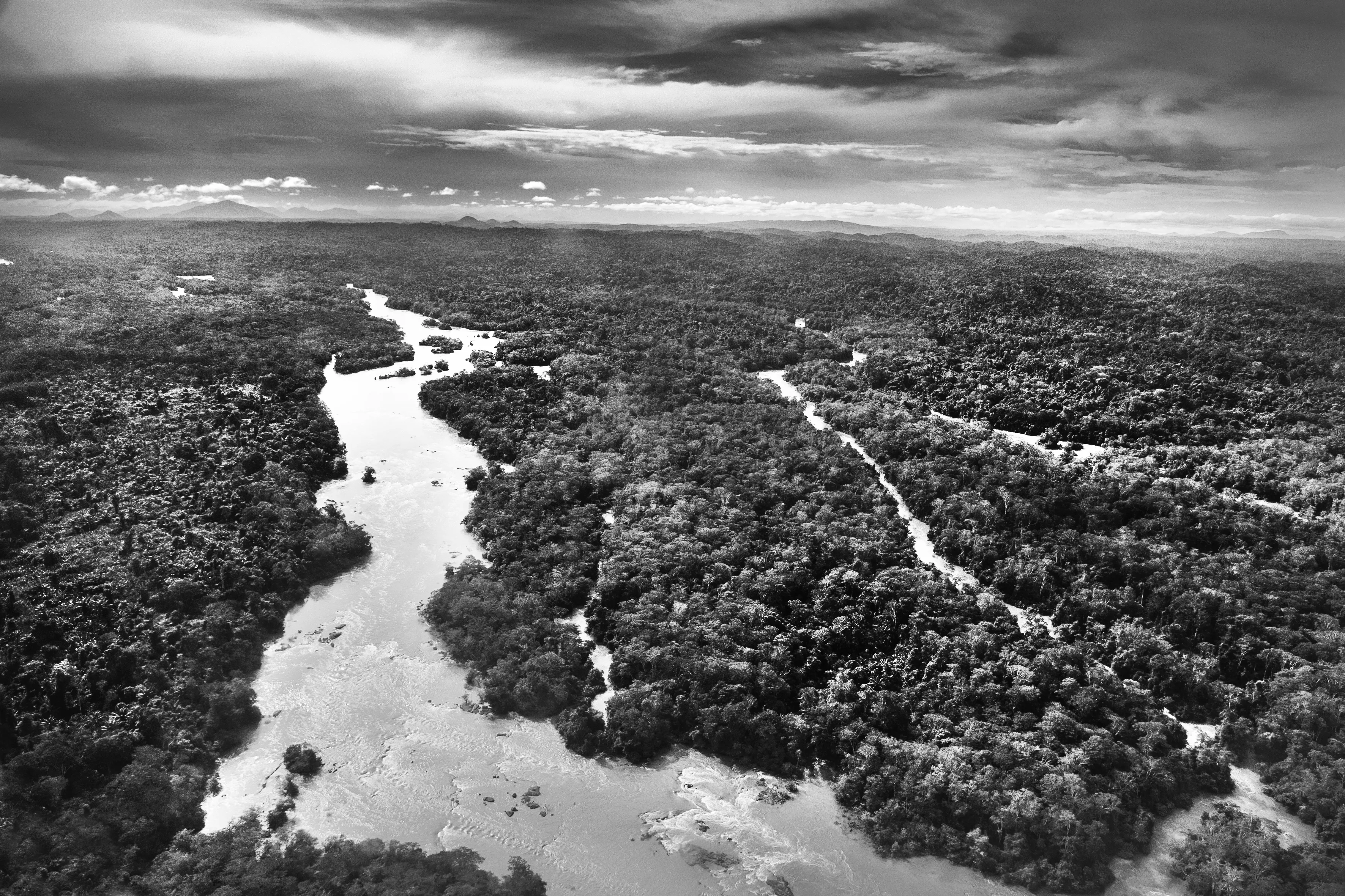 It is only possible to grasp the true dimension of the Amazon forest from space, occupying as it does one-third of the South American continent, an area larger than the entire European Union. Not marked are the land borders of the nine countries that share this ecosystem, although by far the largest part of the territory—over 60 percent—lies inside Brazil. At the heart of this extravaganza of nature is the Amazon River which, fed by some 1,100 tributaries, including 17 over 1,500 kilometers (930 miles) long, disgorges 20 percent of the world's freshwater when it finally enters the Atlantic Ocean. The rainforest also plays a crucial role in slowing climate change, notably as what is known as a "carbon sink." Put simply, every year its trees absorb around two billion tons of carbon dioxide, equivalent to five percent of total emission of greenhouse gases driving global warming. At the same time, the forest not only produces an important portion of the oxygen we breathe, but it also determines how much rain is delivered to other regions of South America and beyond. Nonetheless, with at least 17.25% of the biomass already cut down, the fear is that deforestation may soon reach "a point of no return" where the biome cannot recover, turning large areas of forest into tropical savannas.