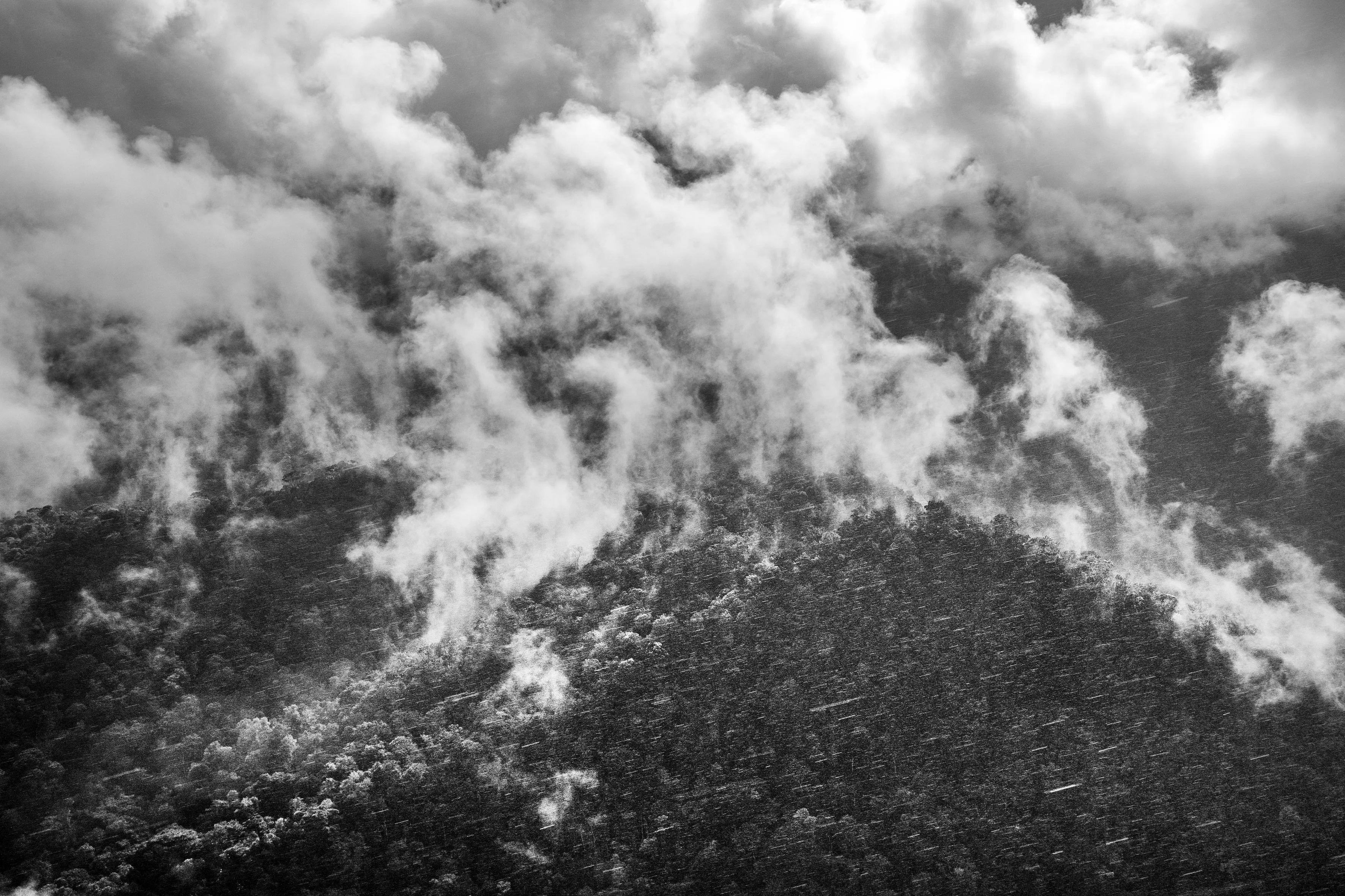 State of Roraima, Brazil, 2018

One of the most extraordinary - and perhaps least known - features of the Amazon rainforest is a phenomenon variously known as "flying rivers" or "aerial rivers." It may seem like a contradiction to talk of a "river" that cannot be seen, yet these "flying rivers" carry more water than the Amazon River itself and affect a larger area of South America and beyond. Scientists have estimated that, while 17 billion tons of water enter the Atlantic from the Amazon River each day, over a similar period 20 billion tons of water rise into the atmosphere from the jungle, earning it the nickname of the "Green Ocean", and then leave the Amazon region. What is remarkable, though, is the scale on which this takes place. A large tree can suck water from as much as 60 meters below the ground and produce as many as 1,000 liters of water per day. And since this is repeated by between 400 and 600 billion trees, it is easy to see how the Amazon forest generates an important proportion of the water that it later receives. In fact, even the water that reaches the mainland through evaporation of sea-water is itself quickly recycled by the jungle in a process known technically as "evapotranspiration." But if the "flying rivers" are vital to the economic welfare of tens of millions of people, mainly in Brazil, they also impact weather patterns across the globe and are themselves vulnerable to the effects of deforestation and global warming.