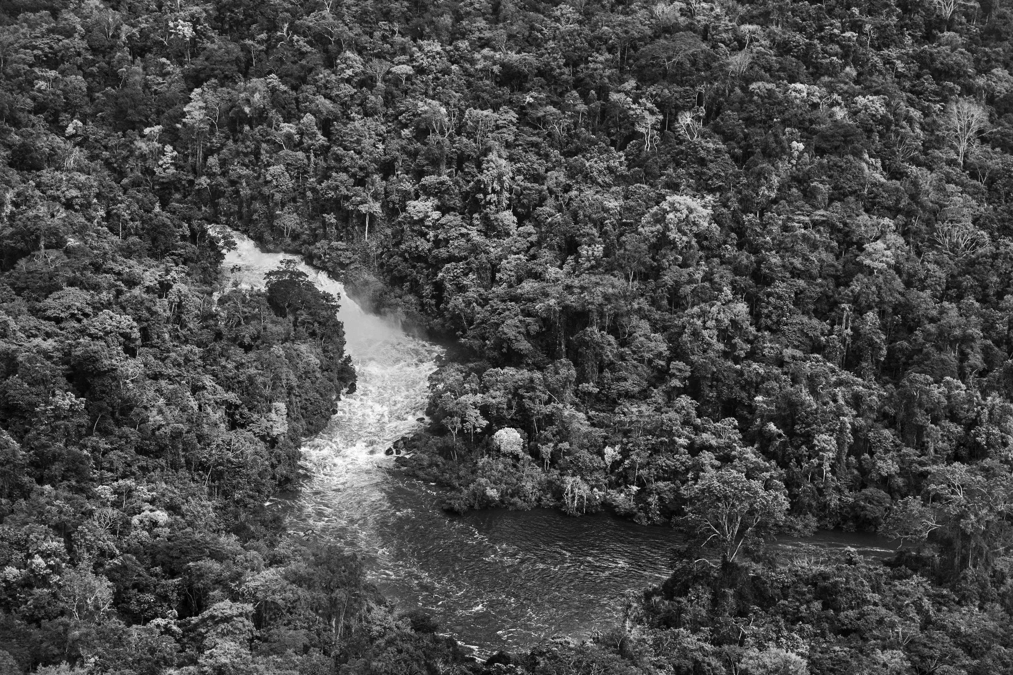 For centuries after Portugal colonized Brazil, the Amazon rainforest was nicknamed the Green Hell, an impenetrable rain-sodden jungle that offered only danger to outsiders. Many expeditions, above all those hoping to find gold in the mythical lost city of El Dorado, never returned. Some may have been killed by hostile native tribes or died of snake bites or starvation, but a surprisingly large number of explorers chose to settle down with indigenous tribes and share their bucolic way of life. Today, the rainforest is viewed more benignly, sometimes even romantically, as the Green Paradise, more often simply as an extraordinary treasure of nature, one with the planet's largest concentration of botanical species, including some 16,000 species of trees and innumerable plants with remarkable medicinal potential. Further, this unparalleled concentration of vegetation absorbs greenhouse gases and breathes out oxygen. It also offers a traditionally secure home to hundreds of indigenous tribes, some of whom have never had contact with the outside world.