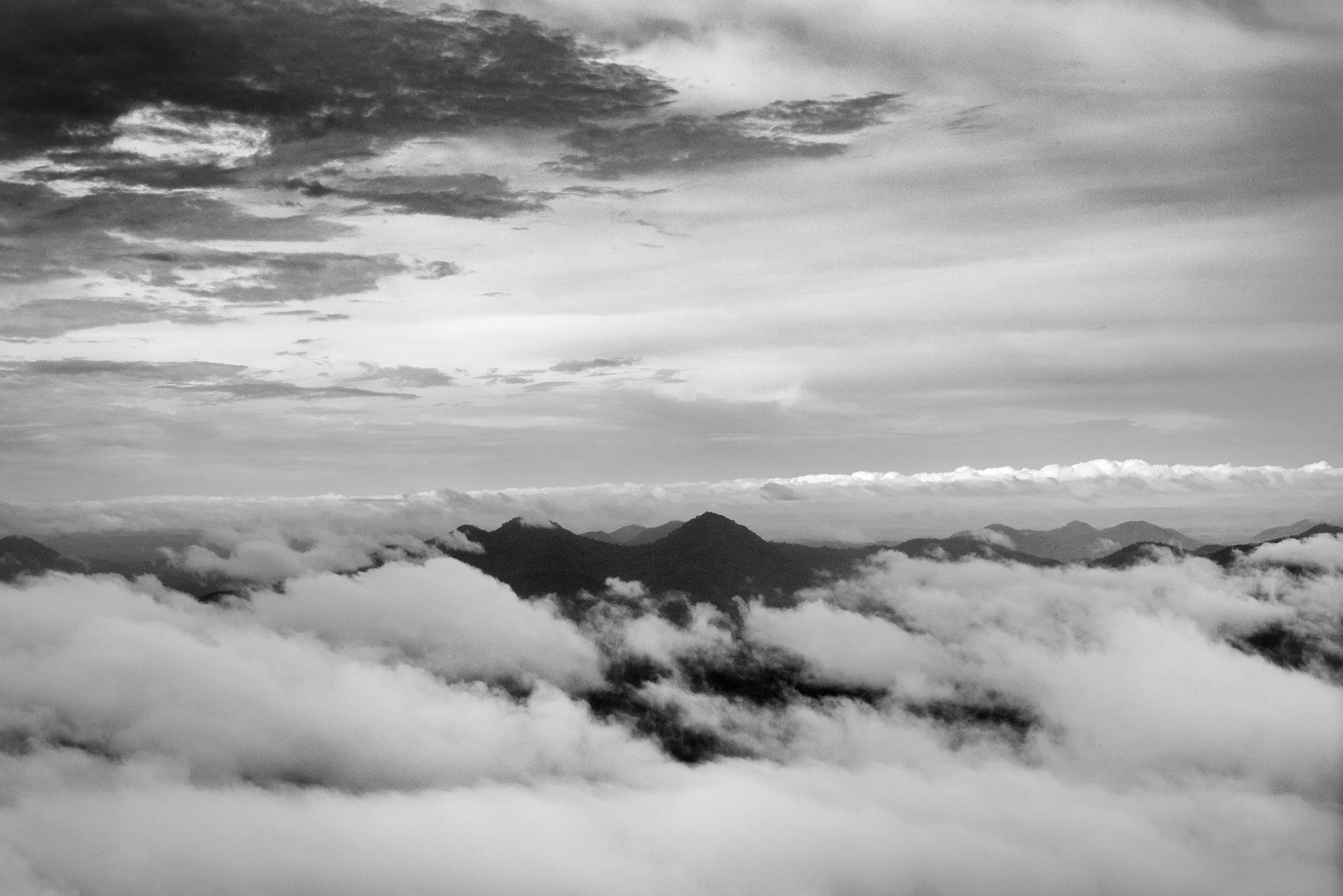 State of Roraima, Brazil, 2018

One of the most extraordinary - and perhaps least known - features of the Amazon rainforest is a phenomenon variously known as "flying rivers" or "aerial rivers." It may seem like a contradiction to talk of a "river" that cannot be seen, yet these "flying rivers" carry more water than the Amazon River itself and affect a larger area of South America and beyond. Scientists have estimated that, while 17 billion tons of water enter the Atlantic from the Amazon River each day, over a similar period 20 billion tons of water rise into the atmosphere from the jungle, earning it the nickname of the "Green Ocean", and then leave the Amazon region. What is remarkable, though, is the scale on which this takes place. A large tree can suck water from as much as 60 meters below the ground and produce as many as 1,000 liters of water per day. And since this is repeated by between 400 and 600 billion trees, it is easy to see how the Amazon forest generates an important proportion of the water that it later receives. In fact, even the water that reaches the mainland through evaporation of sea-water is itself quickly recycled by the jungle in a process known technically as "evapotranspiration." But if the "flying rivers" are vital to the economic welfare of tens of millions of people, mainly in Brazil, they also impact weather patterns across the globe and are themselves vulnerable to the effects of deforestation and global warming.